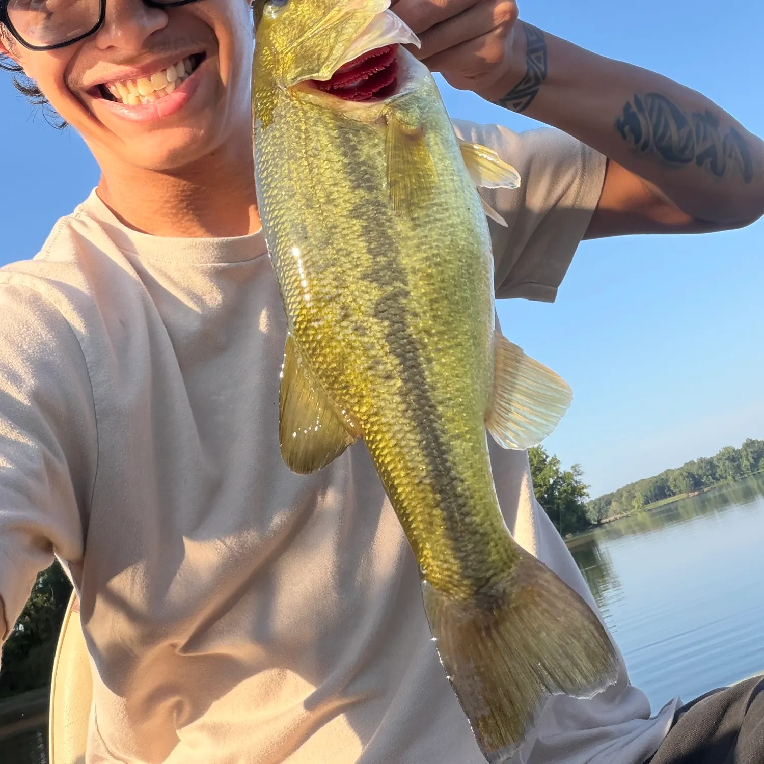 Largemouth bass caught on Fishbrain