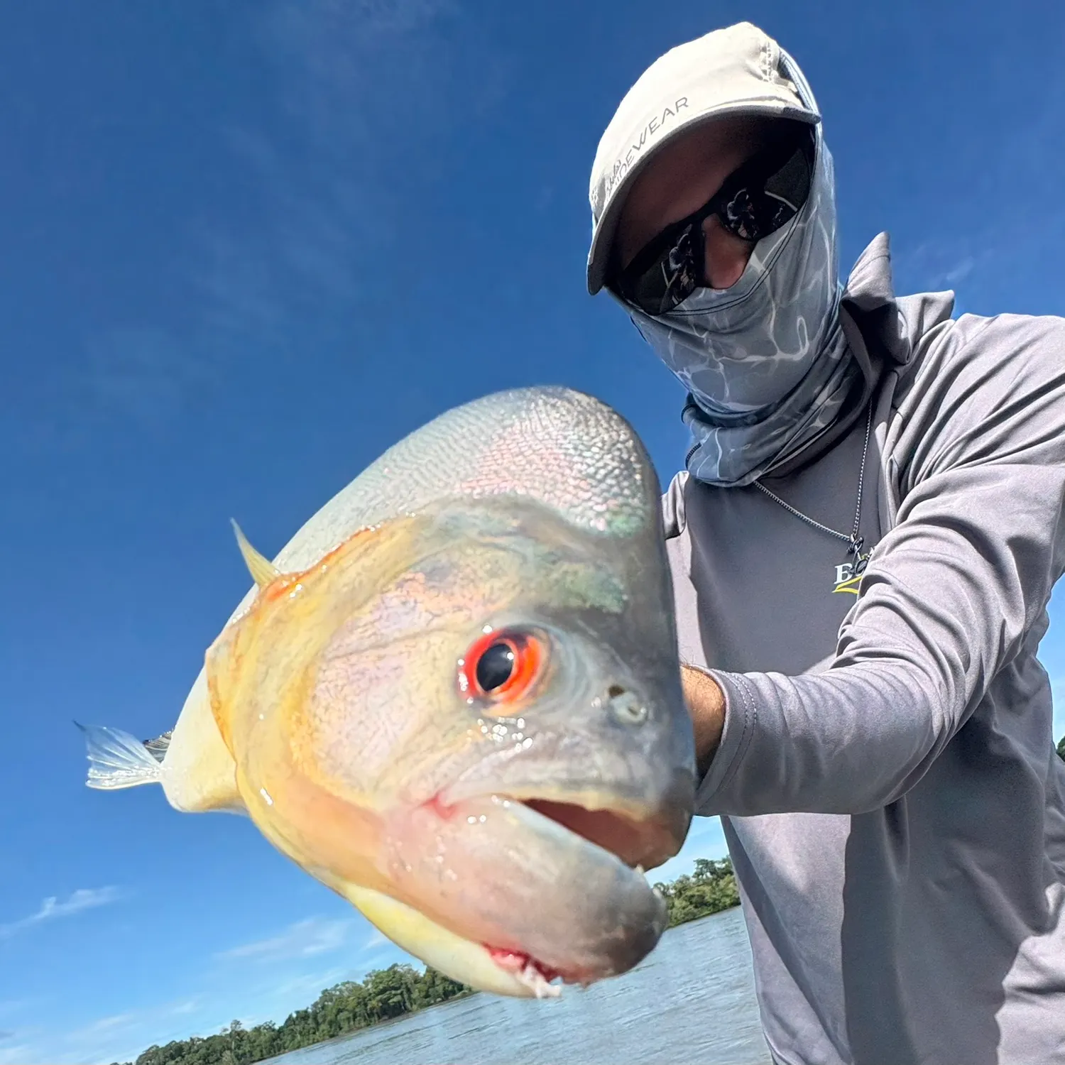 most liked catch image