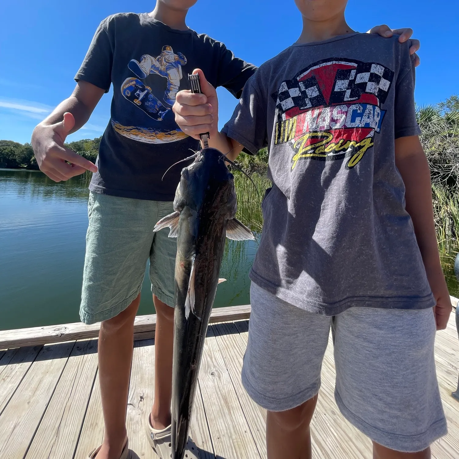 Gafftopsail sea catfish caught on Fishbrain