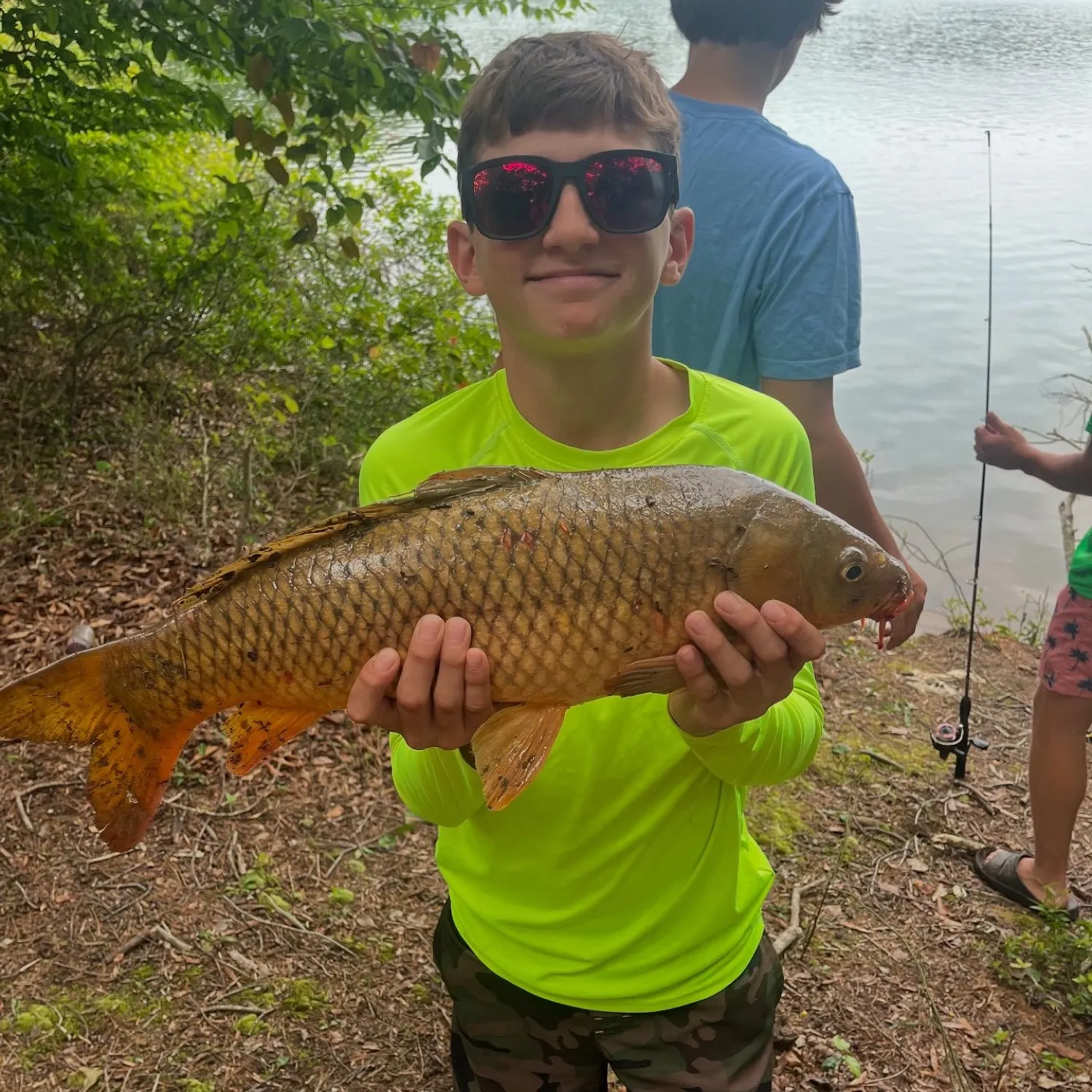 The most recent Common carp catches on Fishbrain