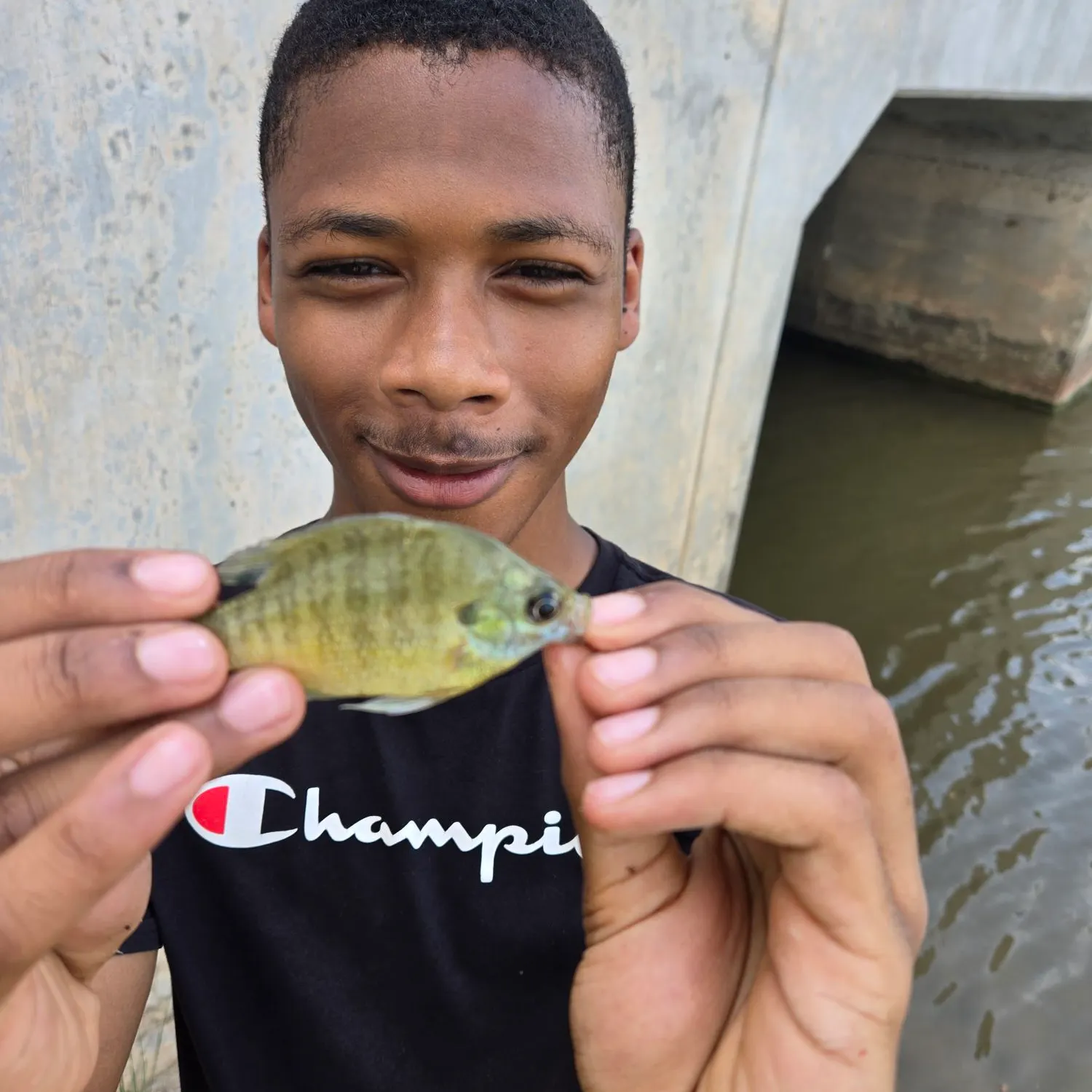 Bluegill caught on Fishbrain