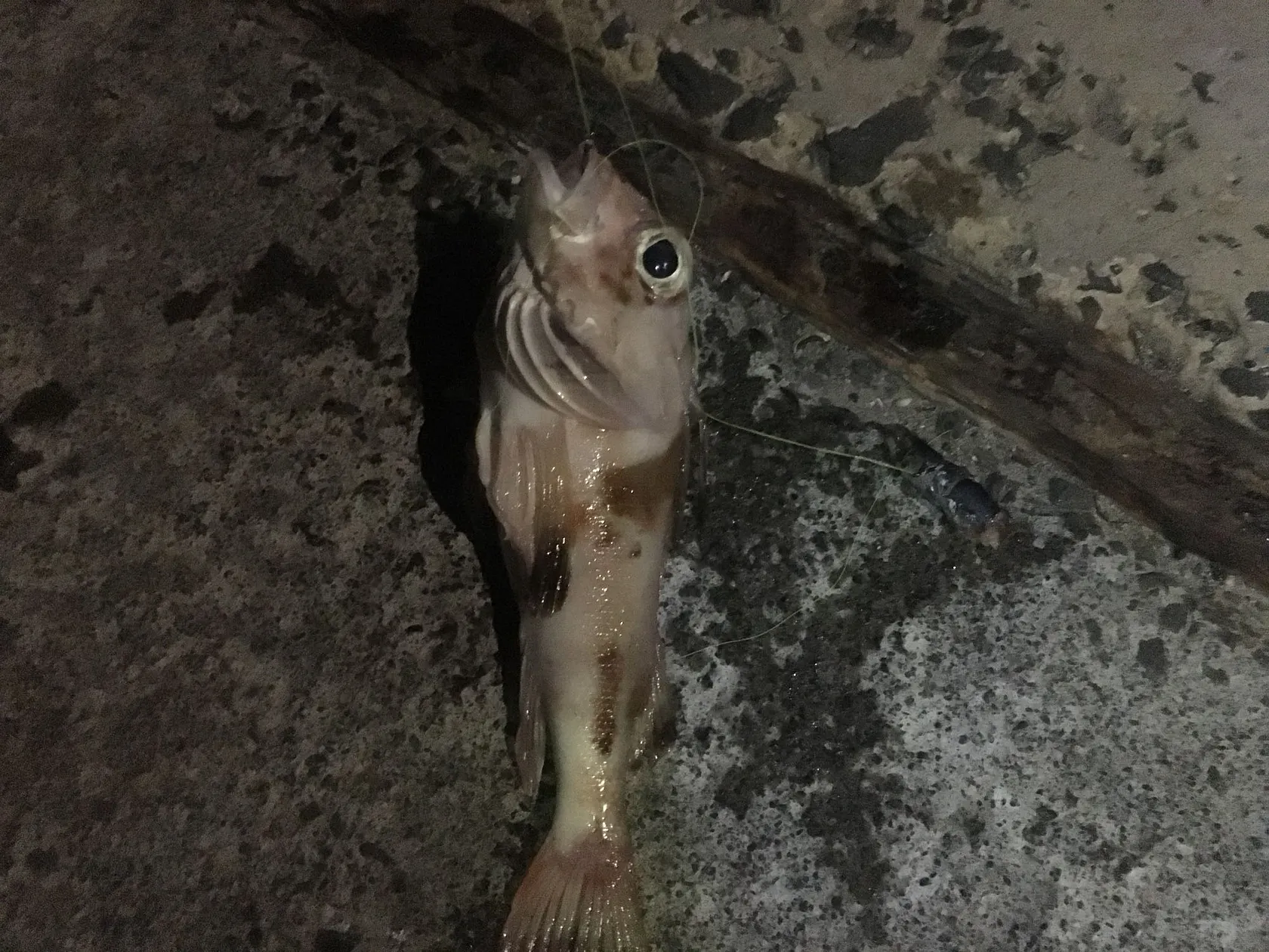 Post image from bthomas8619