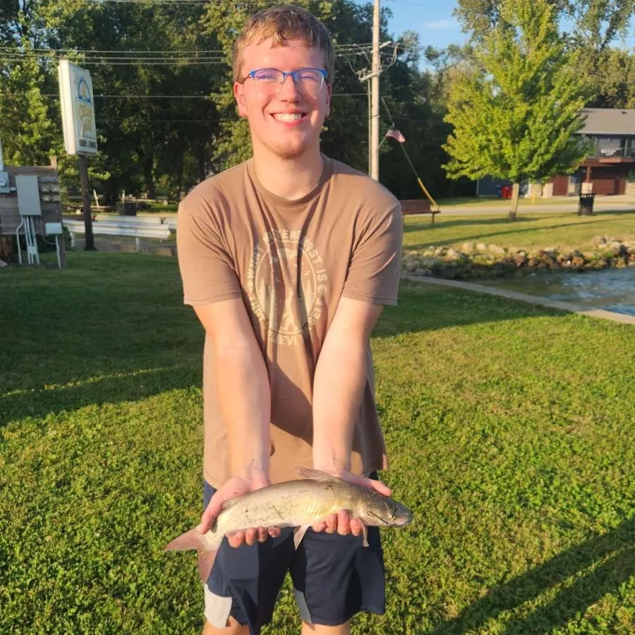 Channel catfish caught on Fishbrain