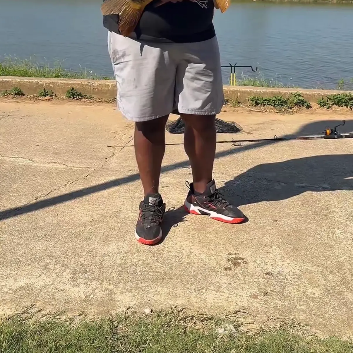 Common carp caught on Fishbrain