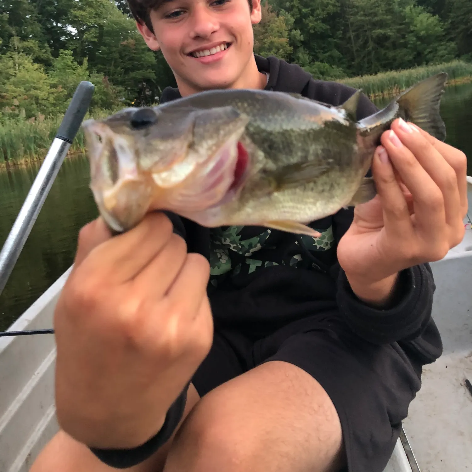 Largemouth bass caught on Fishbrain