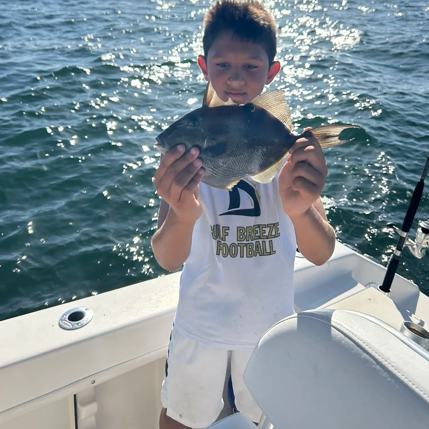 The most recent Grey triggerfish catches on Fishbrain