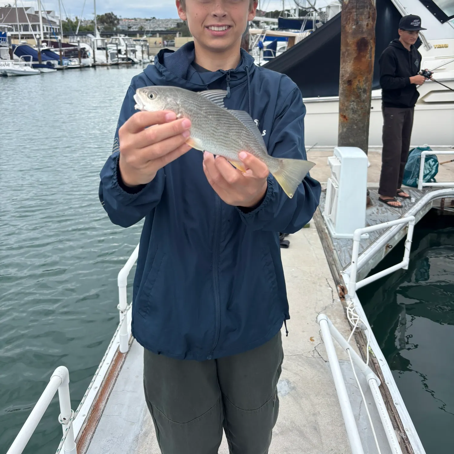 The most recent Yellowfin croaker catches on Fishbrain