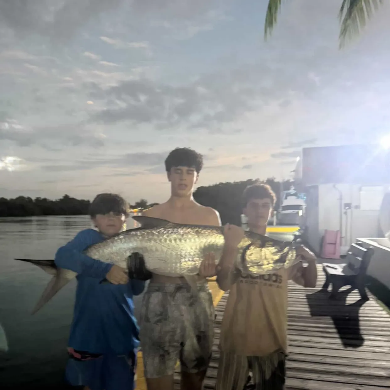 The most recent Tarpon catches on Fishbrain