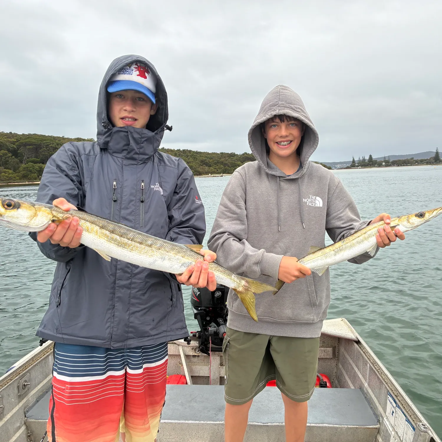 The most recent Australian barracuda catches on Fishbrain