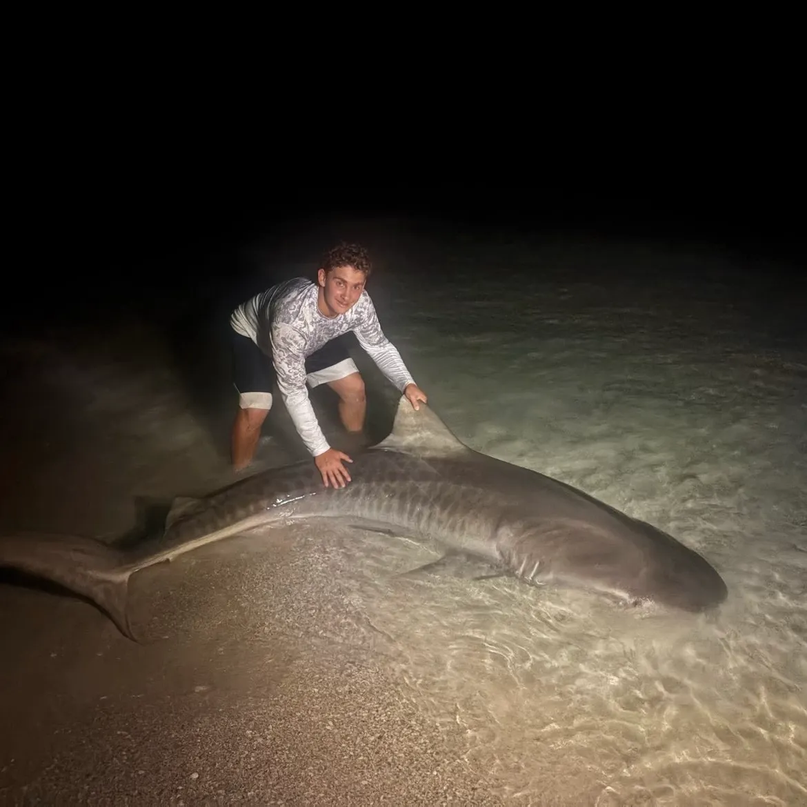 Tiger shark caught on Fishbrain