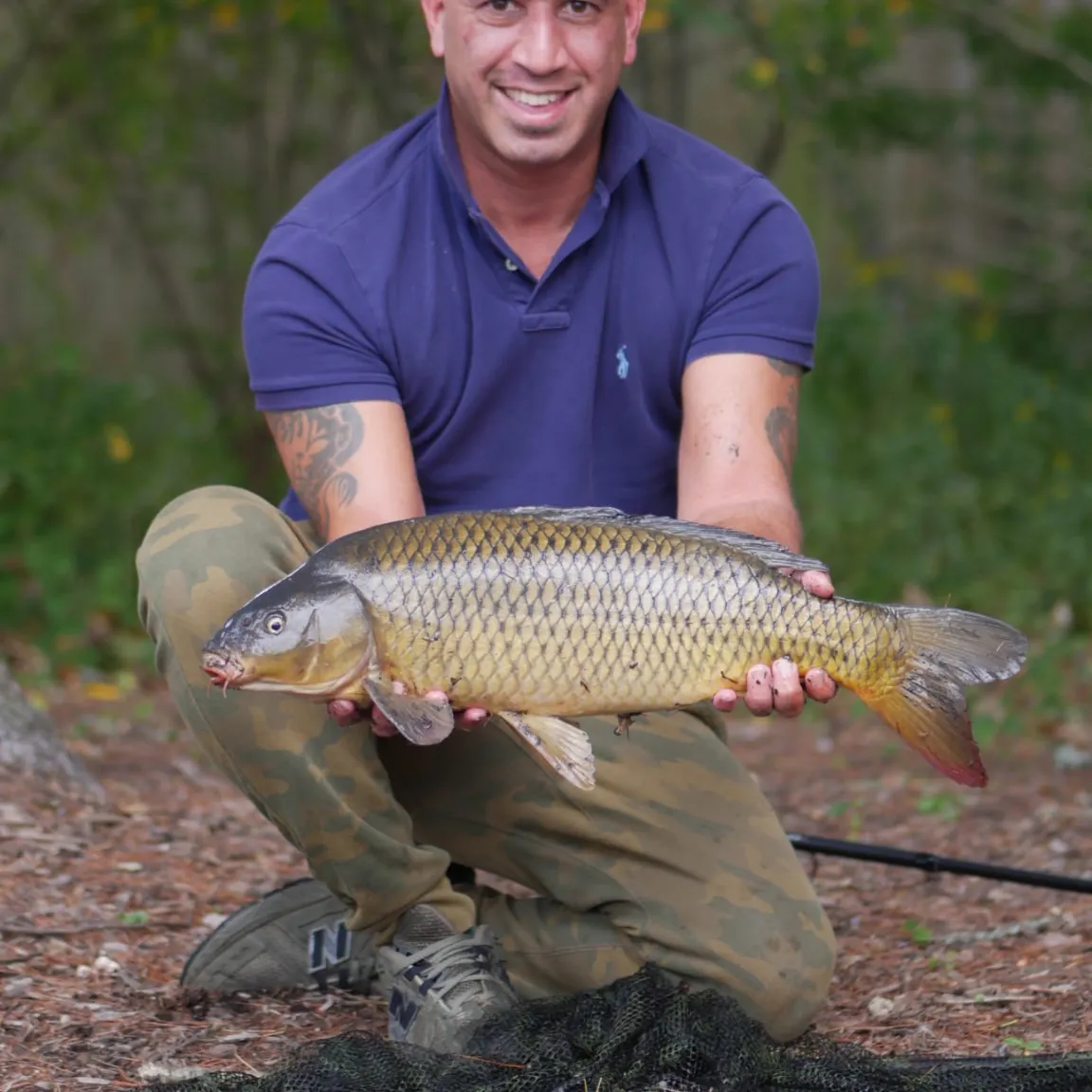 Common carp caught on Fishbrain