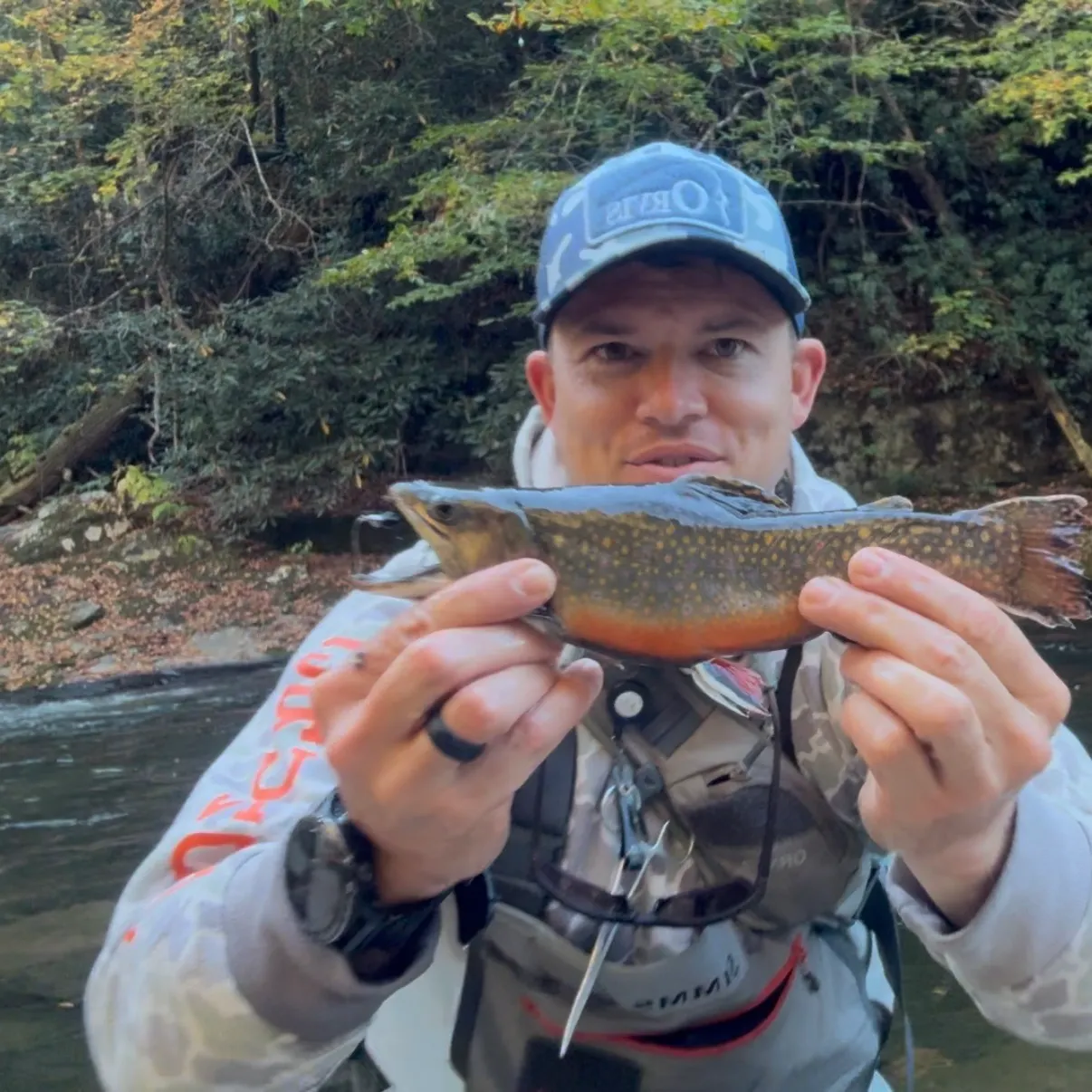 The most recent Brook trout catches on Fishbrain