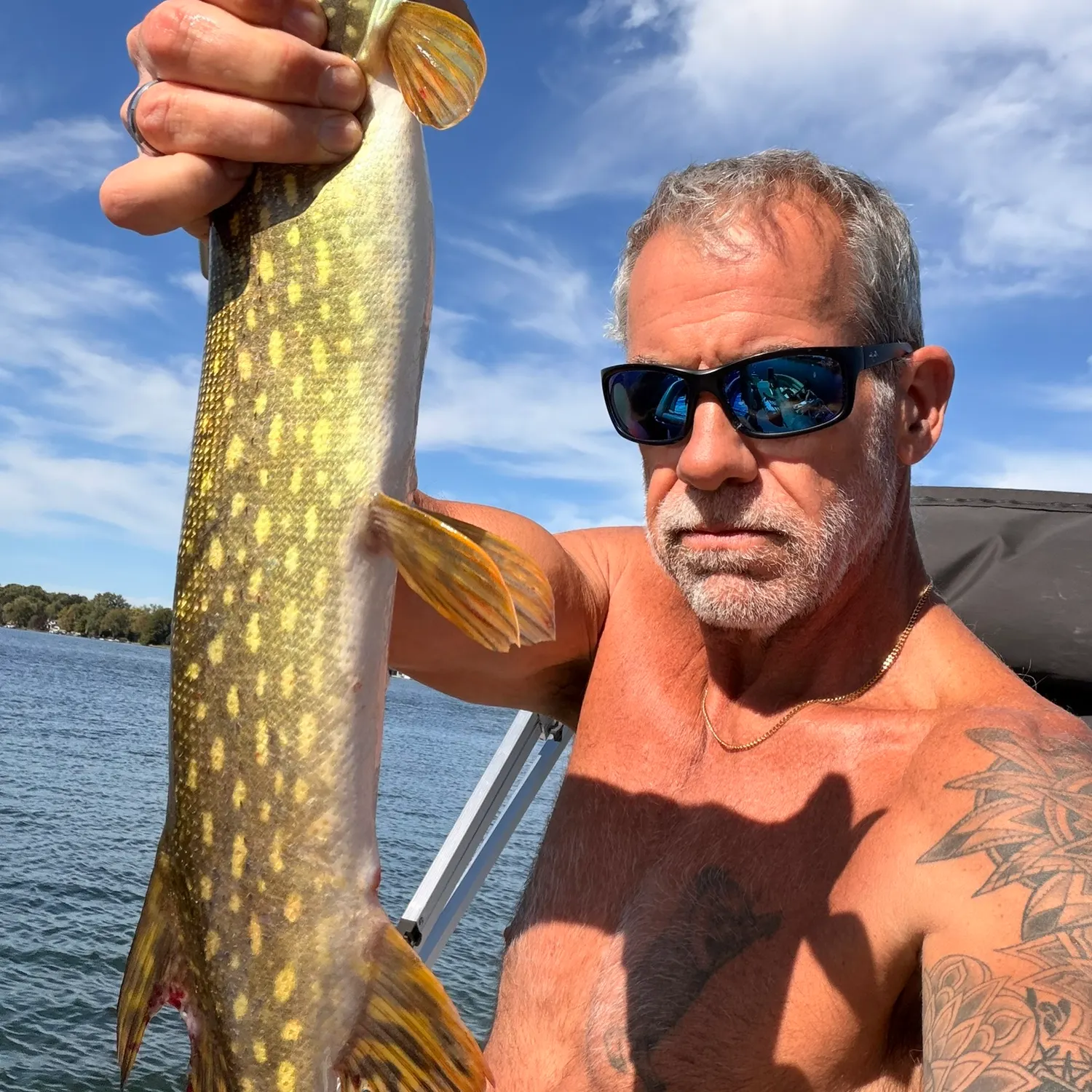 Northern pike caught on Fishbrain