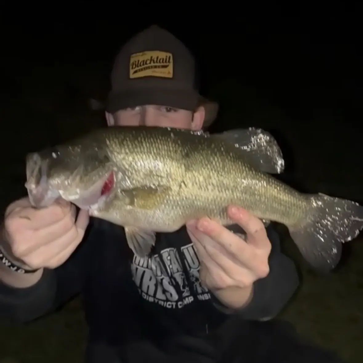 Largemouth bass caught on Fishbrain