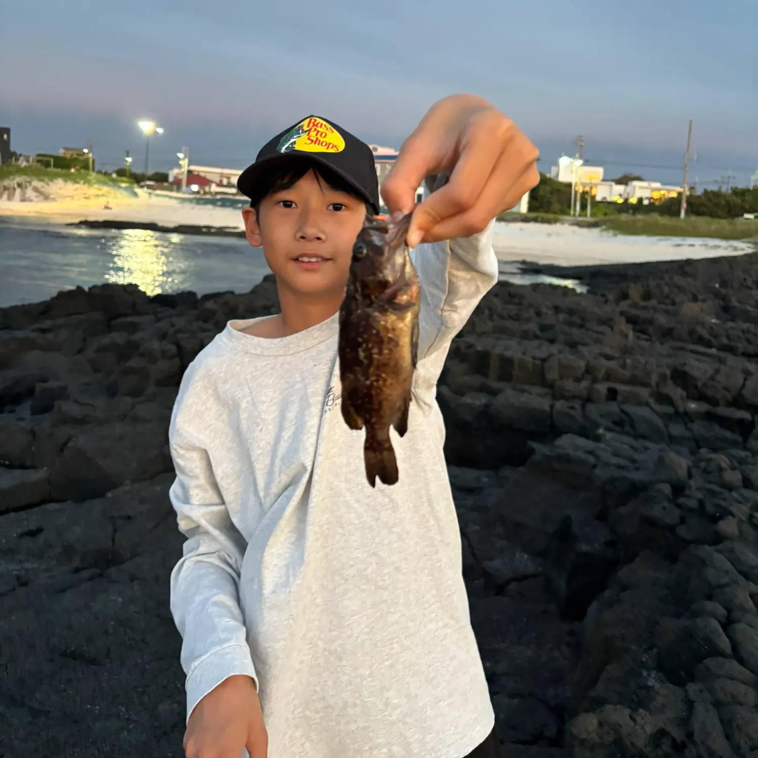 The most recent Marbled Rockfish catches on Fishbrain