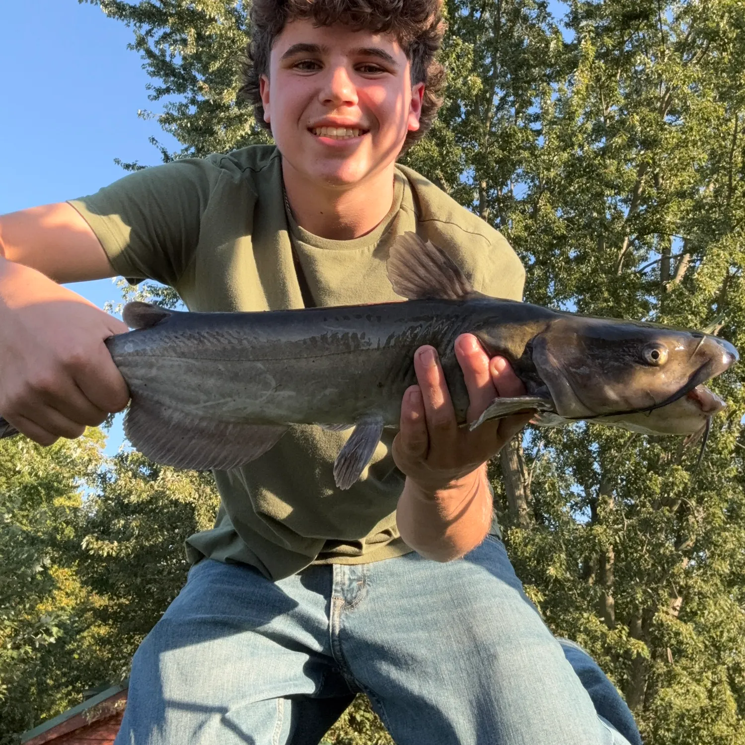 Channel catfish caught on Fishbrain