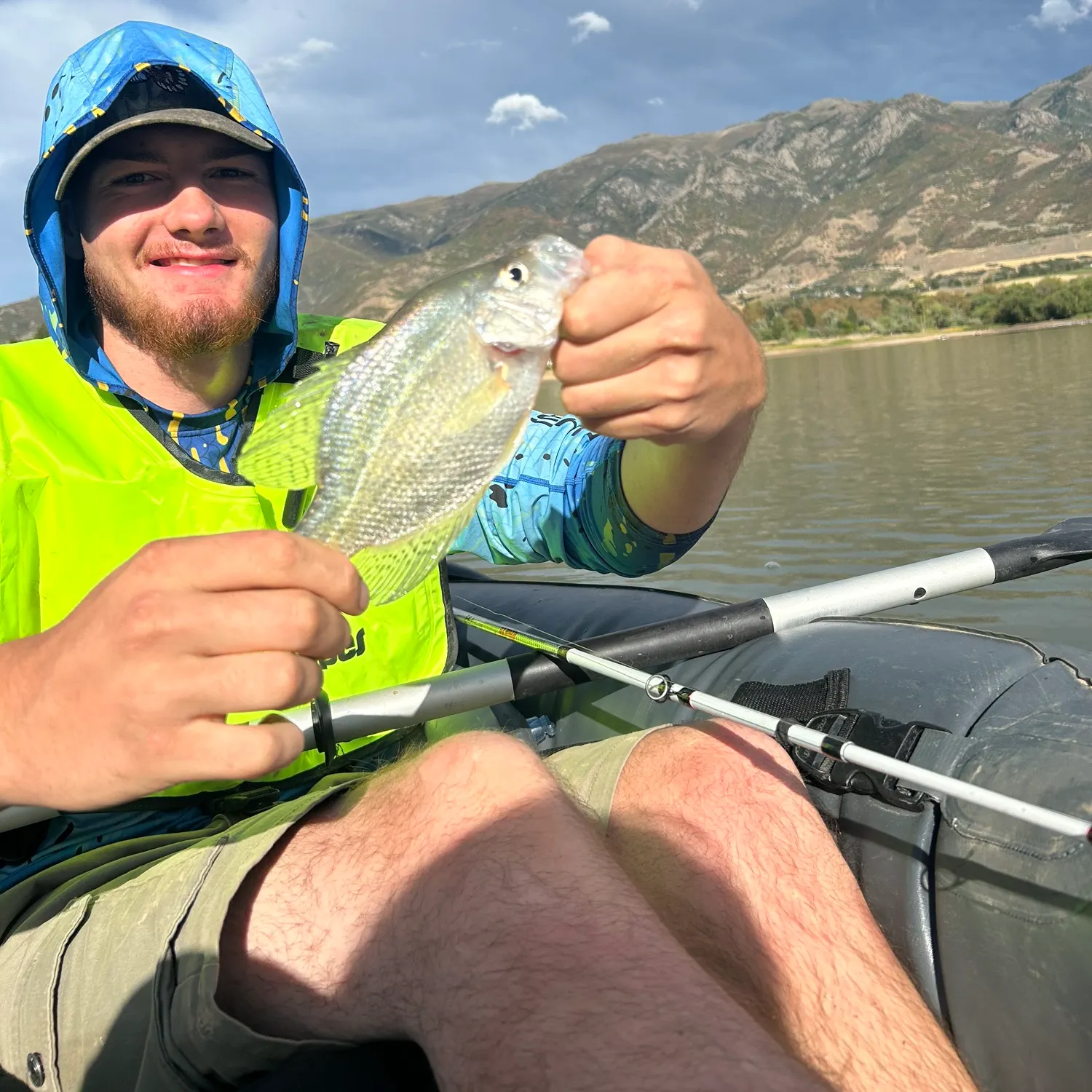 Black crappie caught on Fishbrain