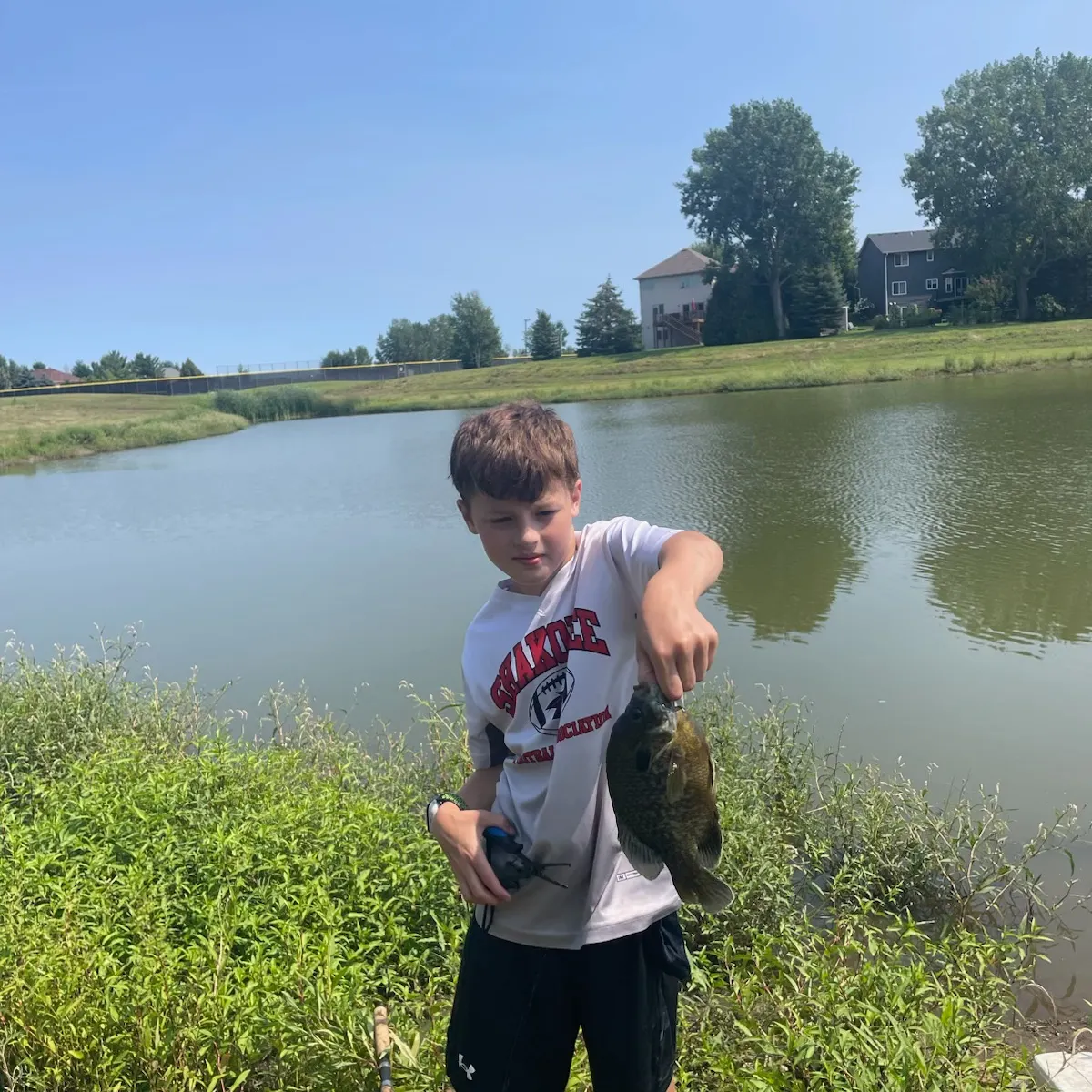 Bluegill caught on Fishbrain