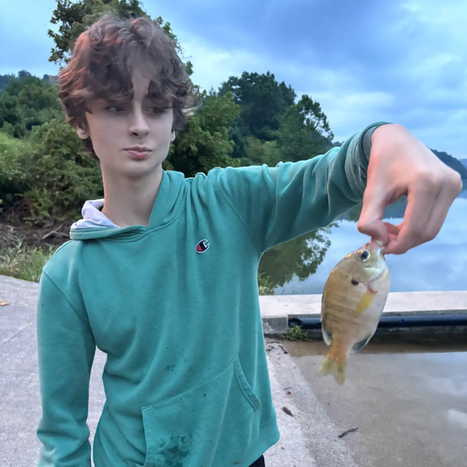 Bluegill caught on Fishbrain