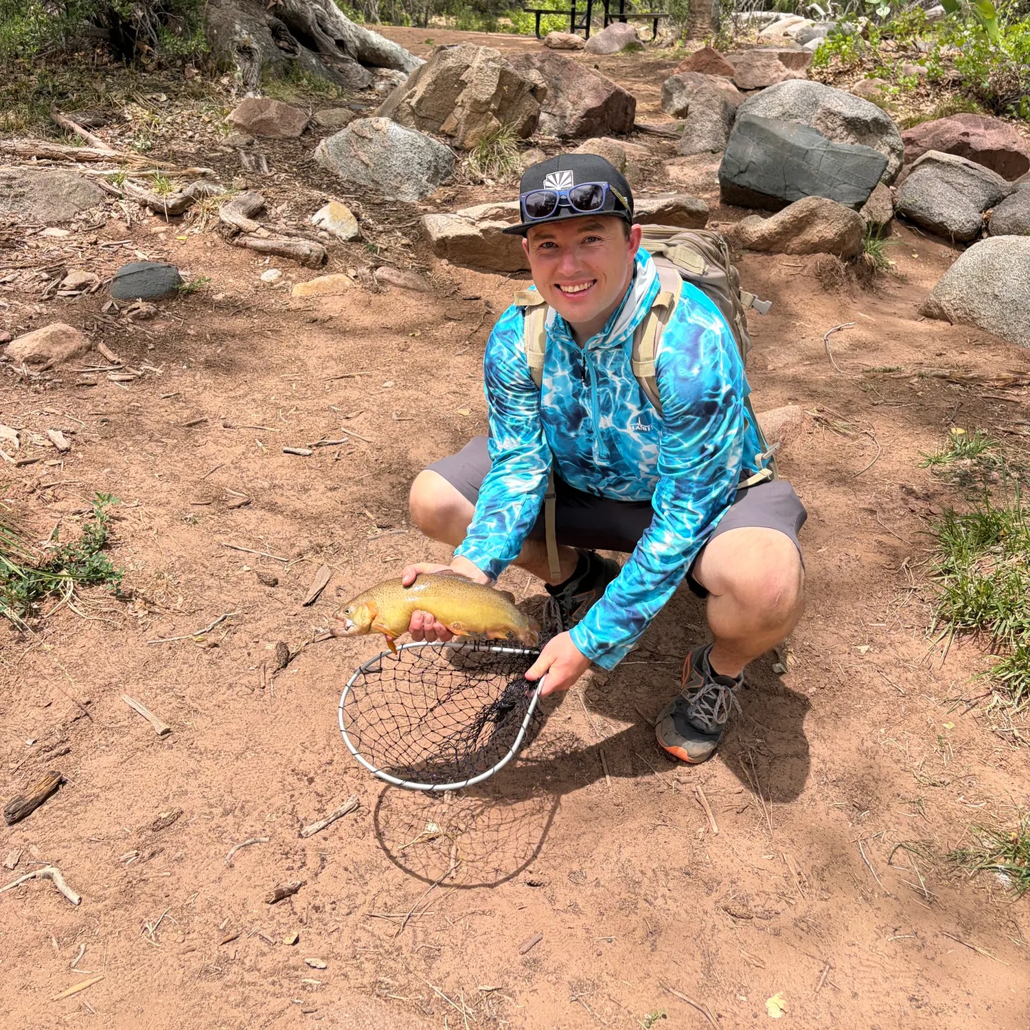 The most recent Gila trout catches on Fishbrain