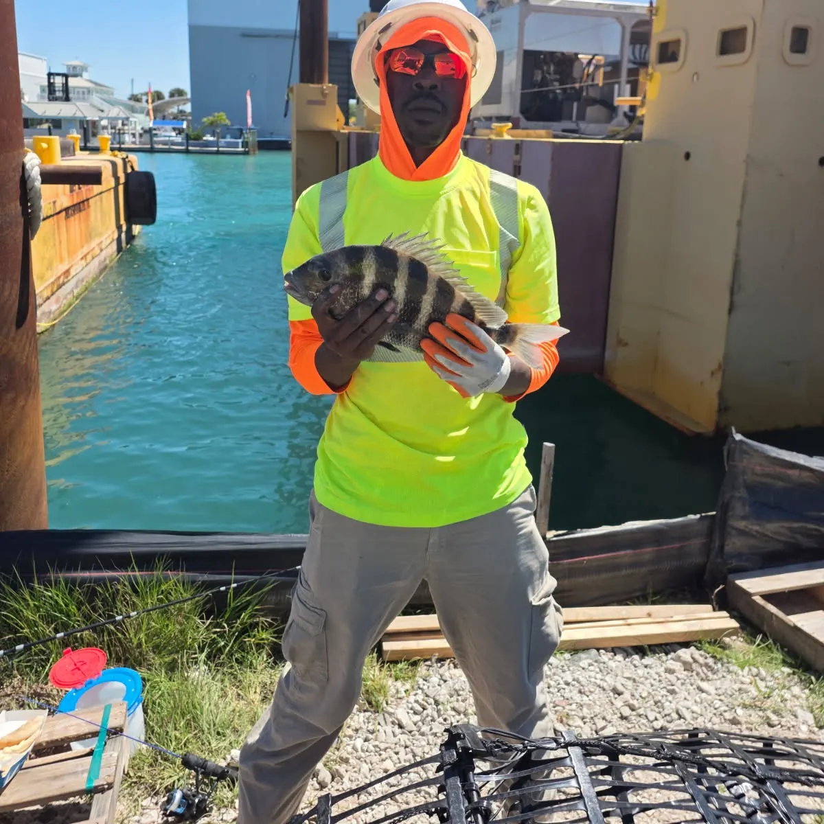 The most recent Sheepshead catches on Fishbrain