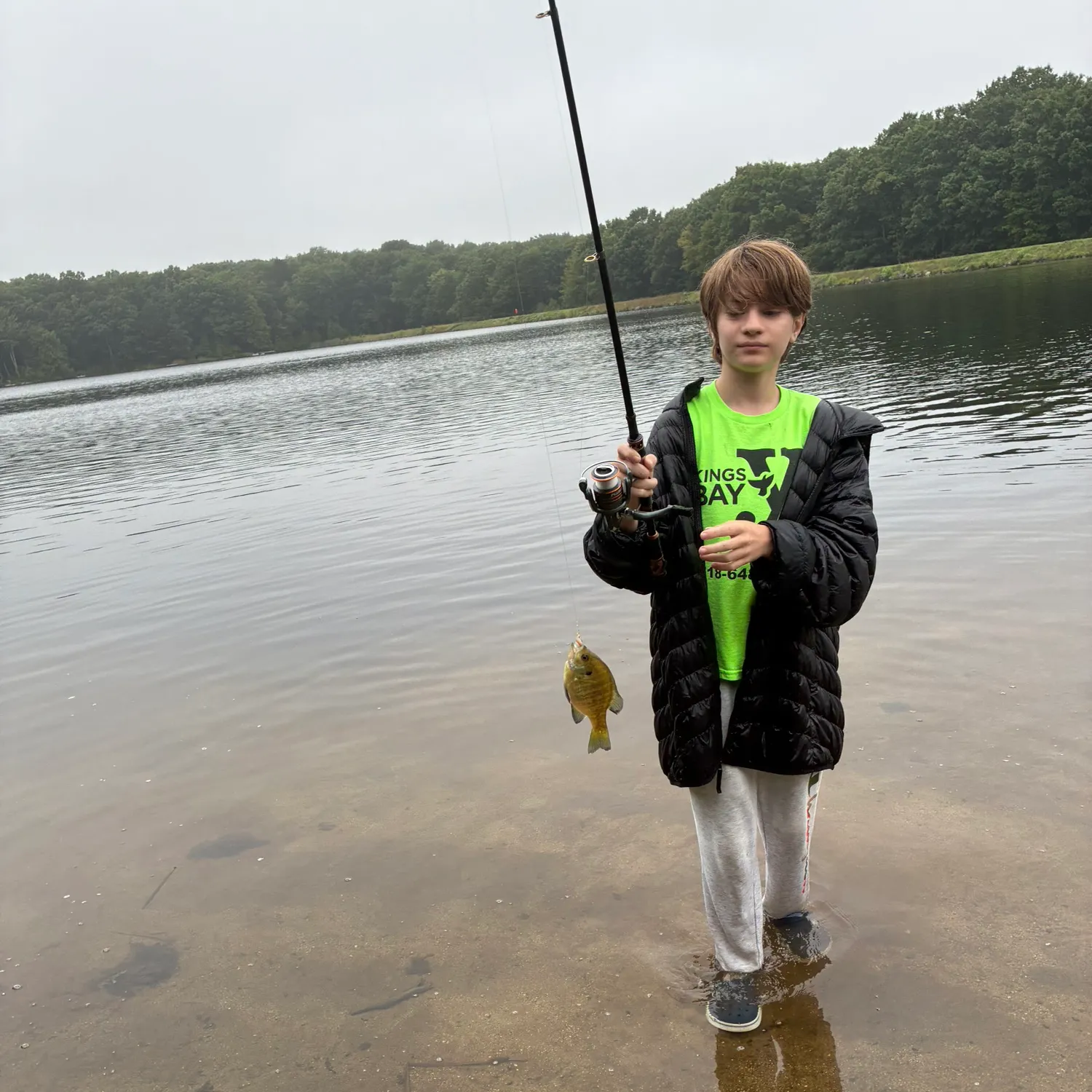 Bluegill caught on Fishbrain