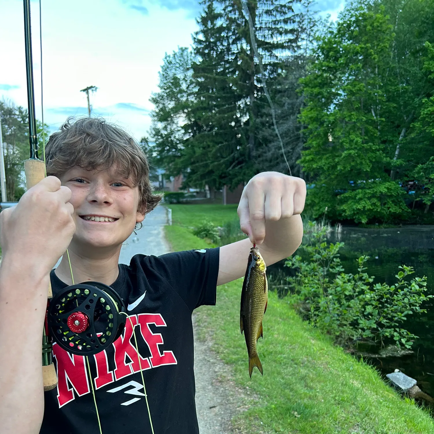 The most recent Golden shiner catches on Fishbrain