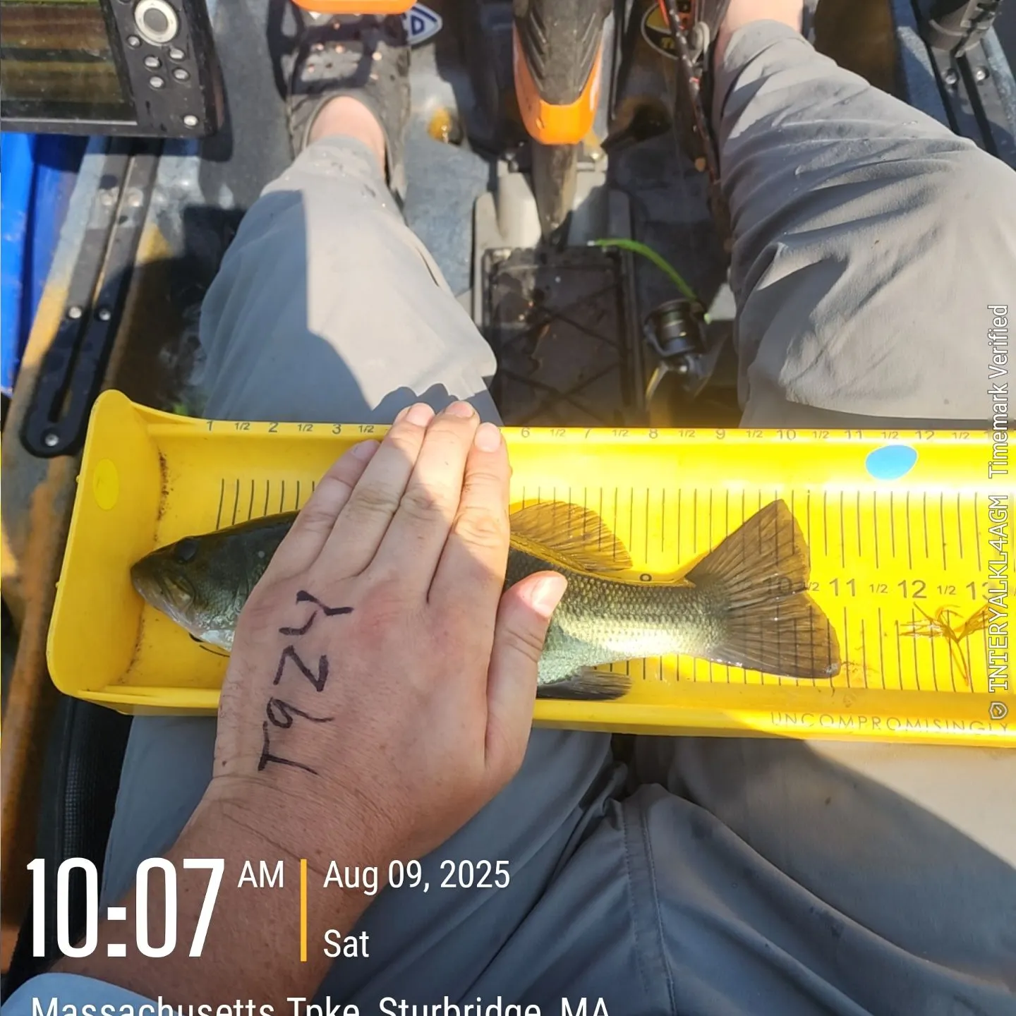 recently logged catches