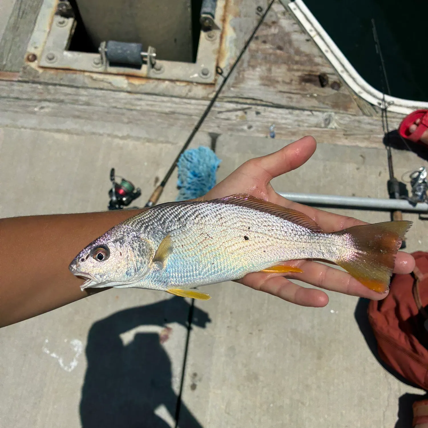 catch