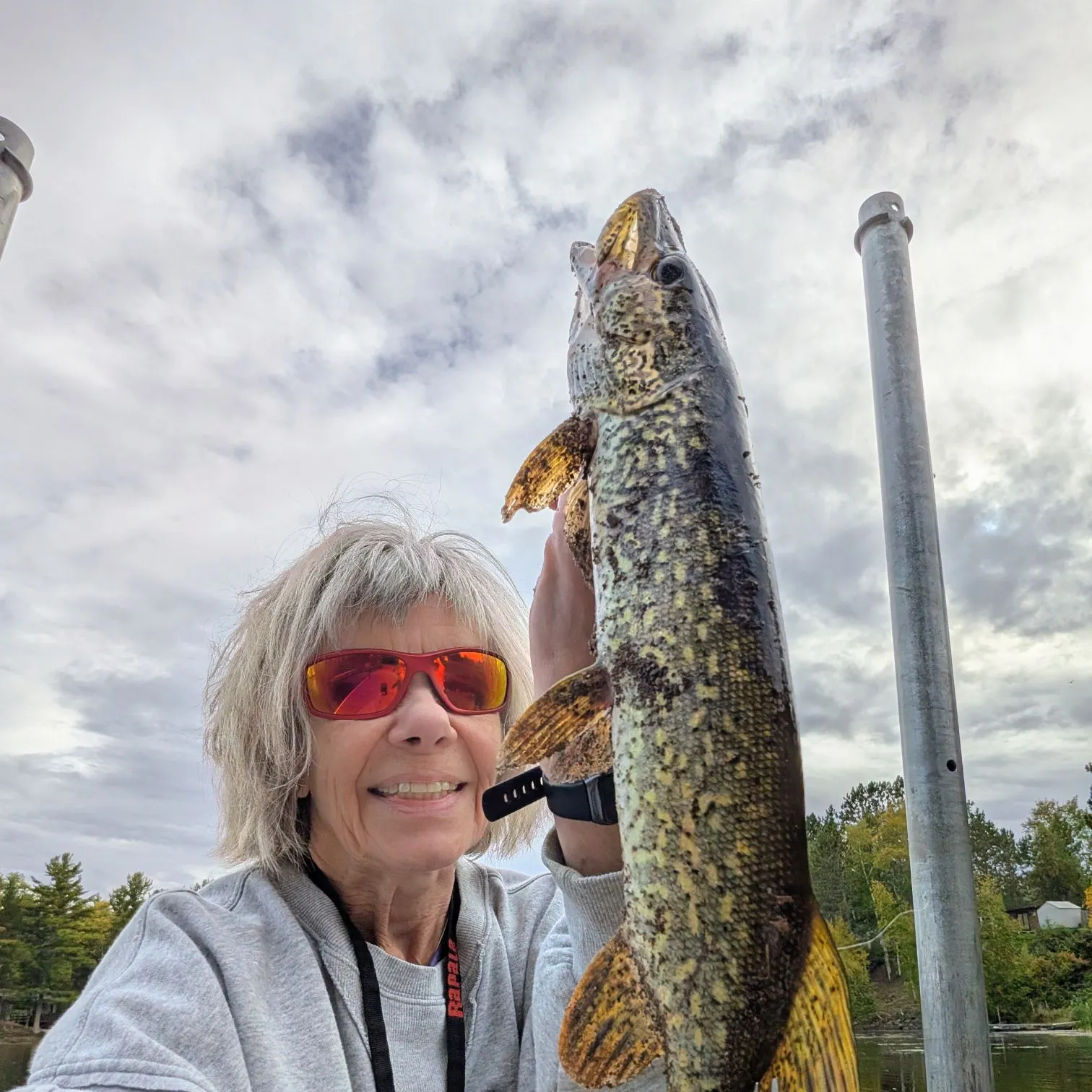 Northern pike caught on Fishbrain