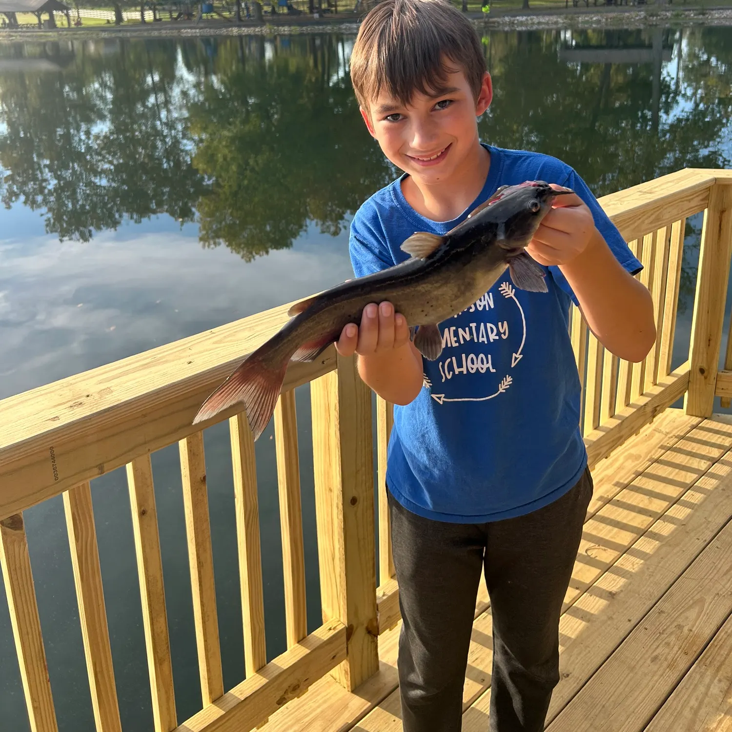 Channel catfish caught on Fishbrain