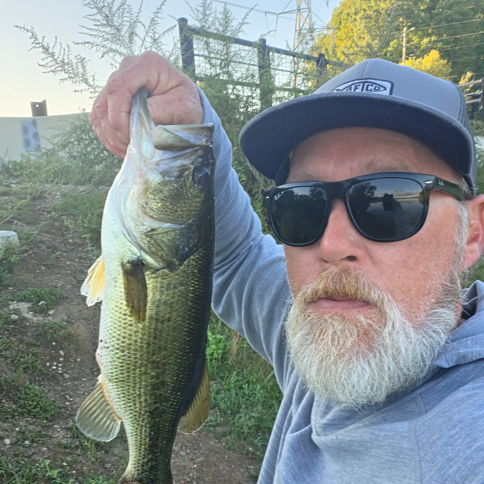 Largemouth bass caught on Fishbrain