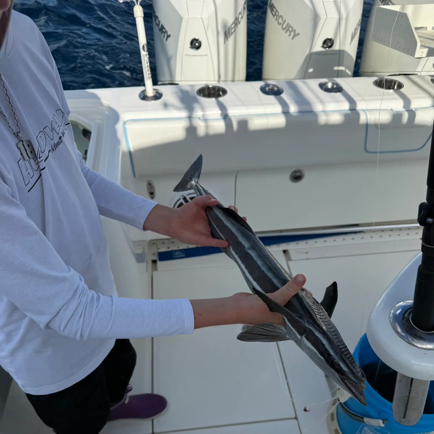 The most recent Common remora catches on Fishbrain