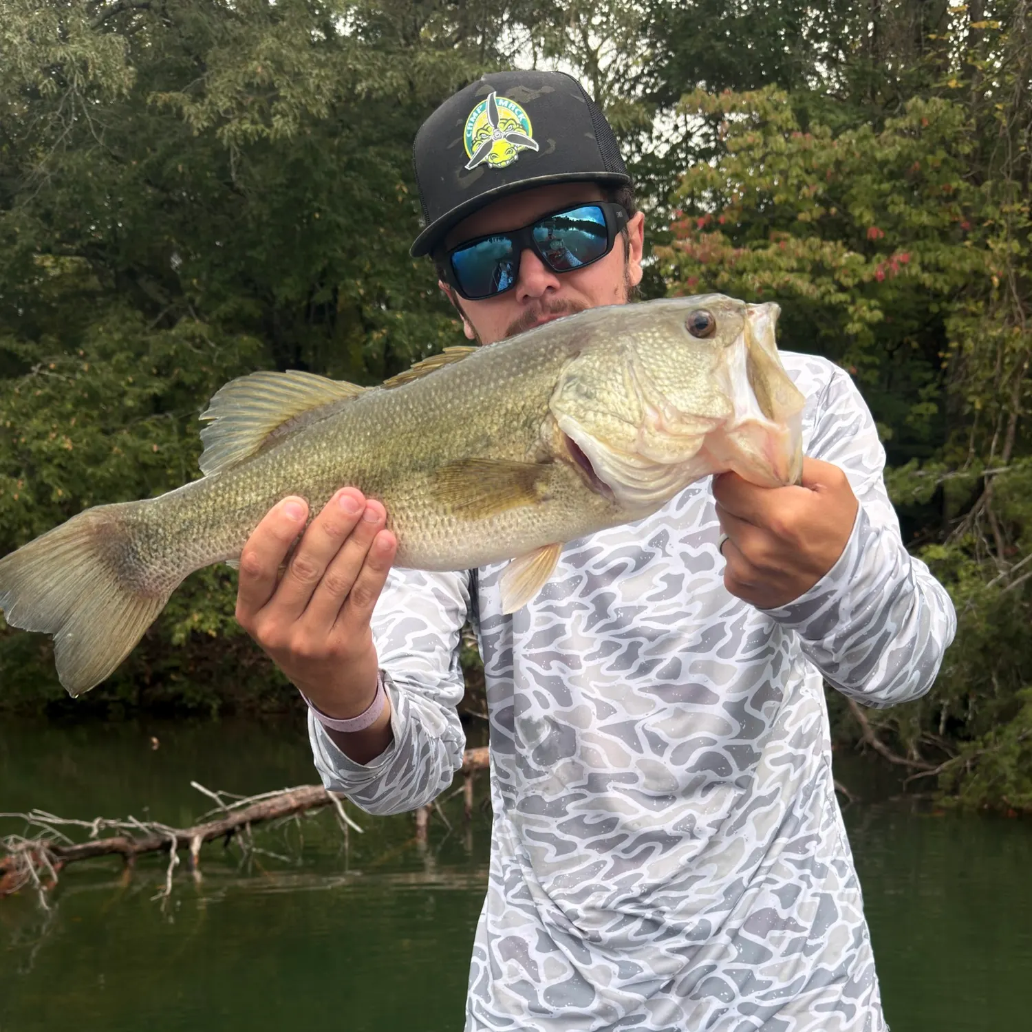 Largemouth bass caught on Fishbrain