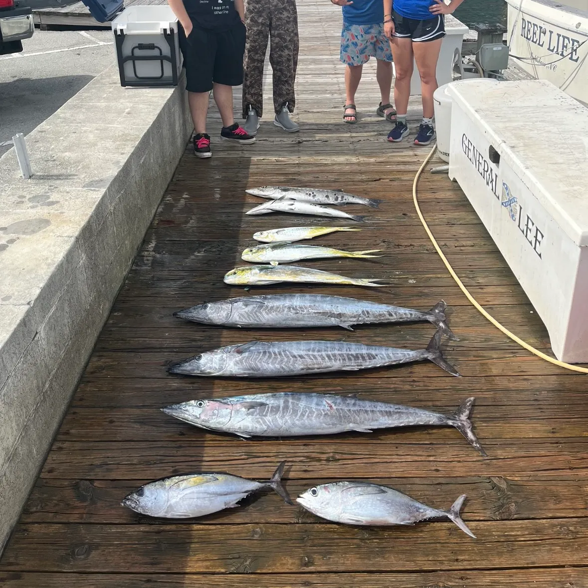 recently logged catches