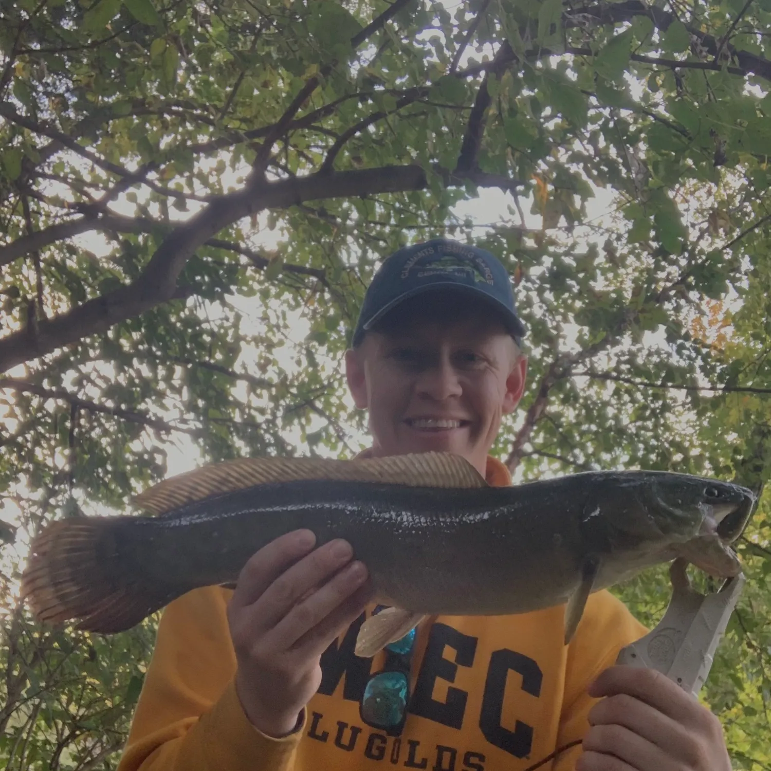 Eyetail bowfin caught on Fishbrain