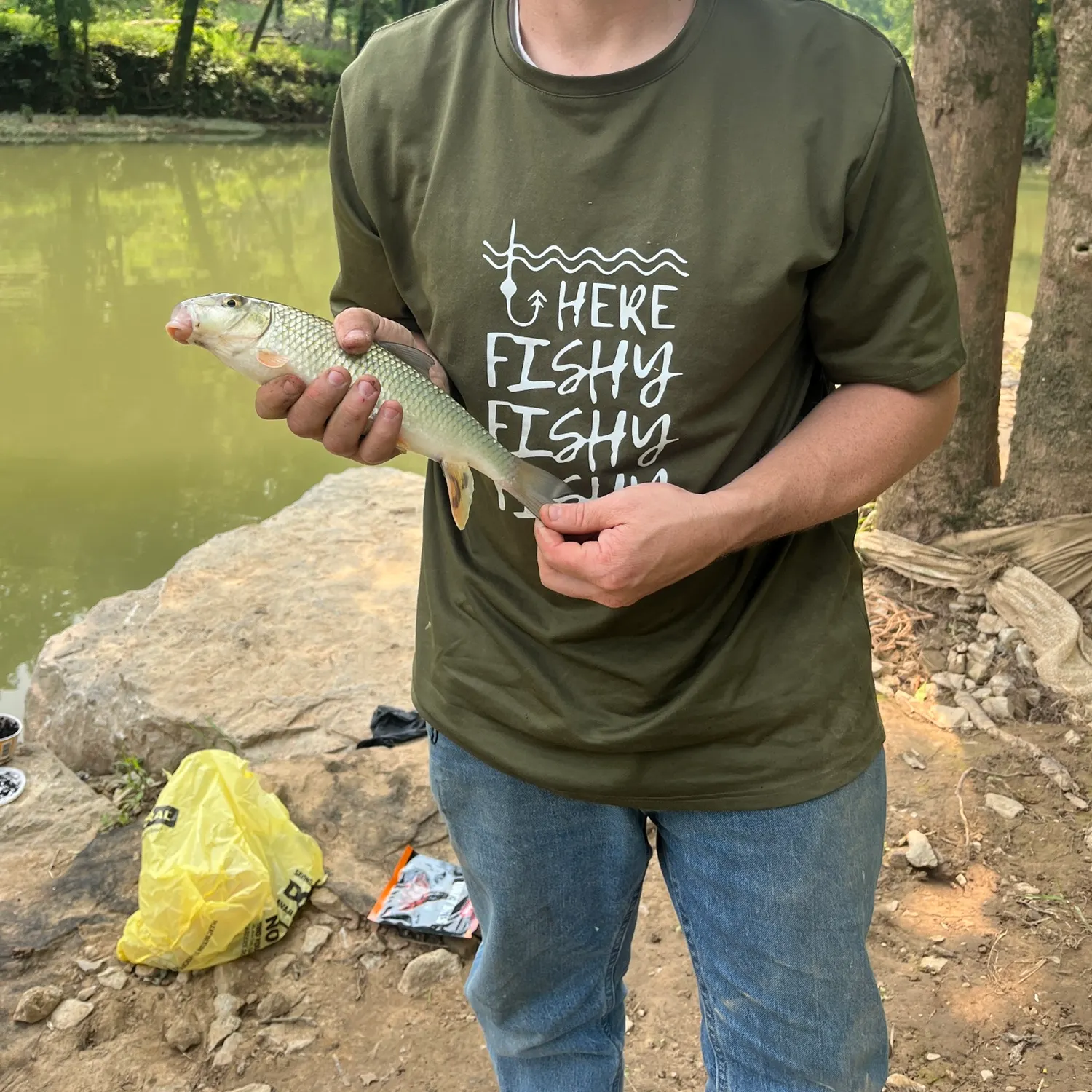 The most recent Greater redhorse catches on Fishbrain