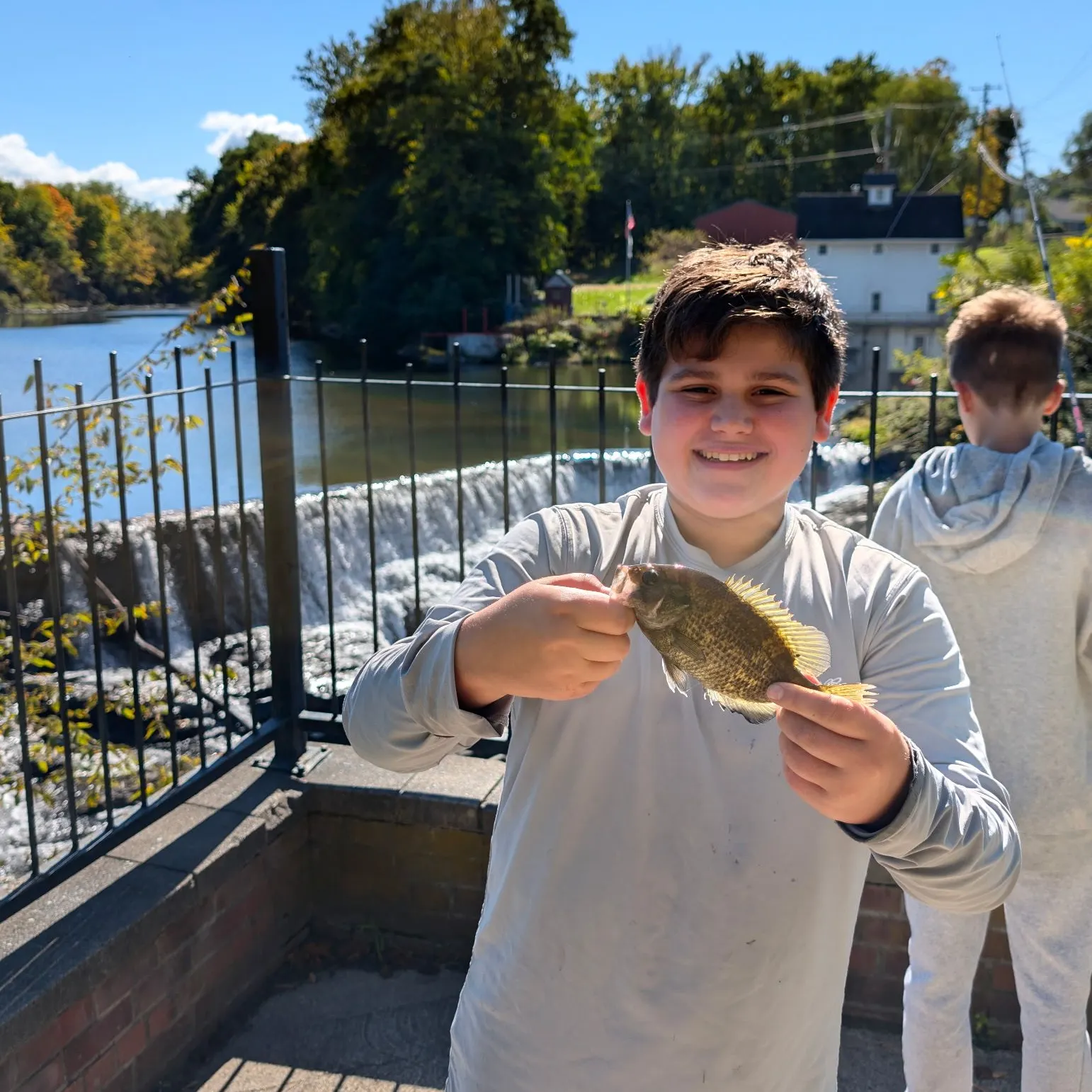 Rock bass caught on Fishbrain