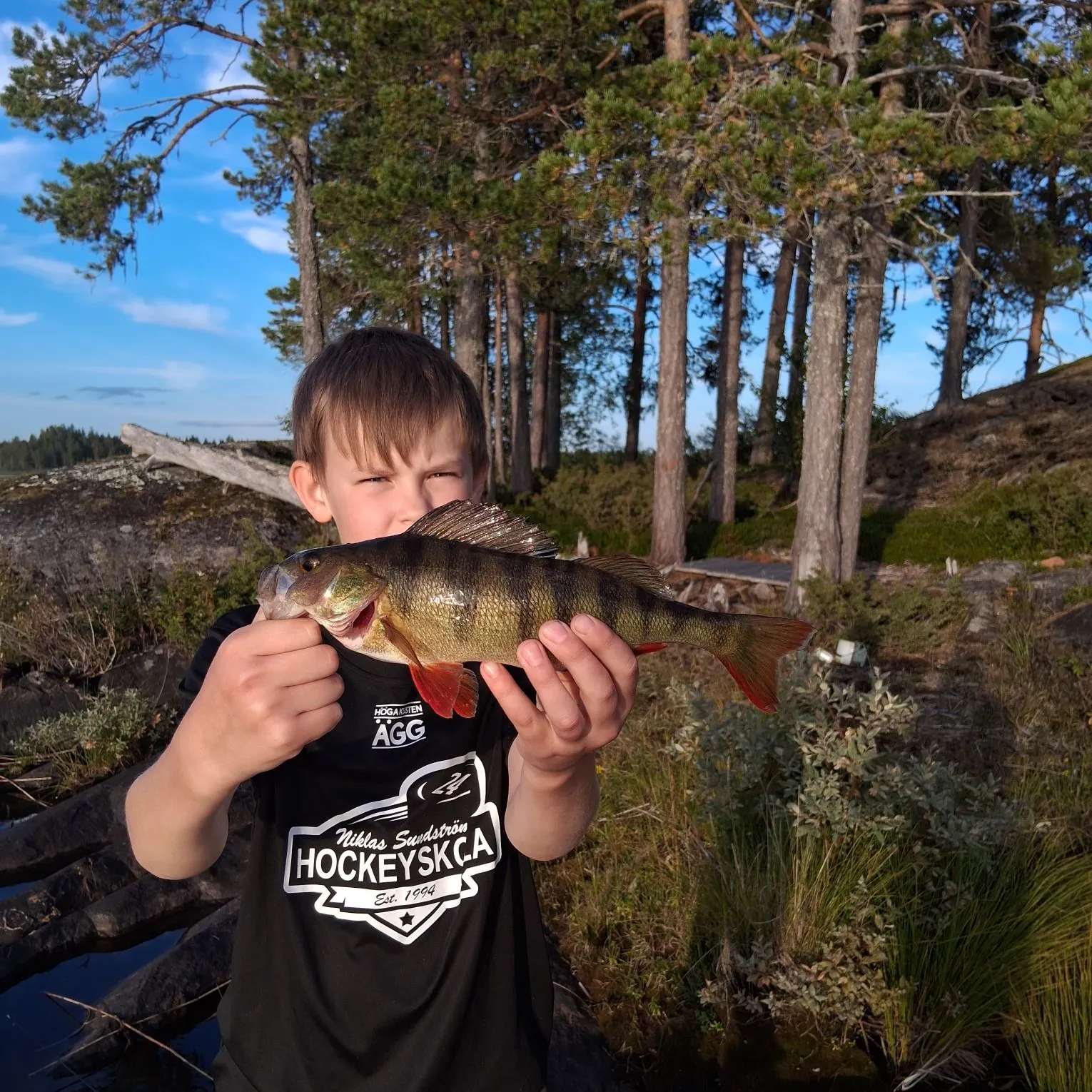 European perch caught on Fishbrain