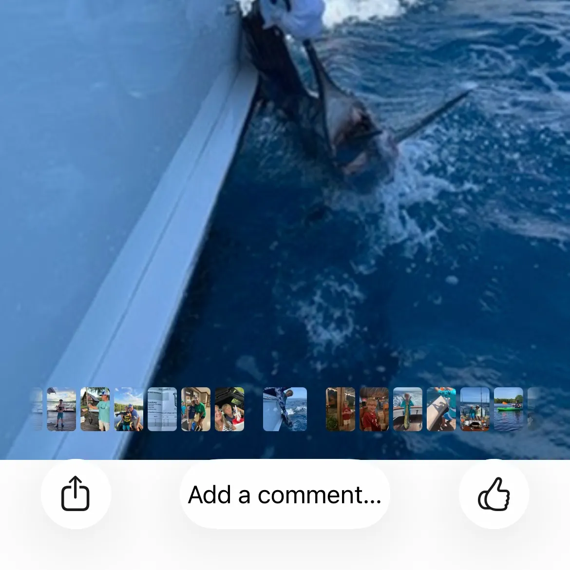 recently logged catches