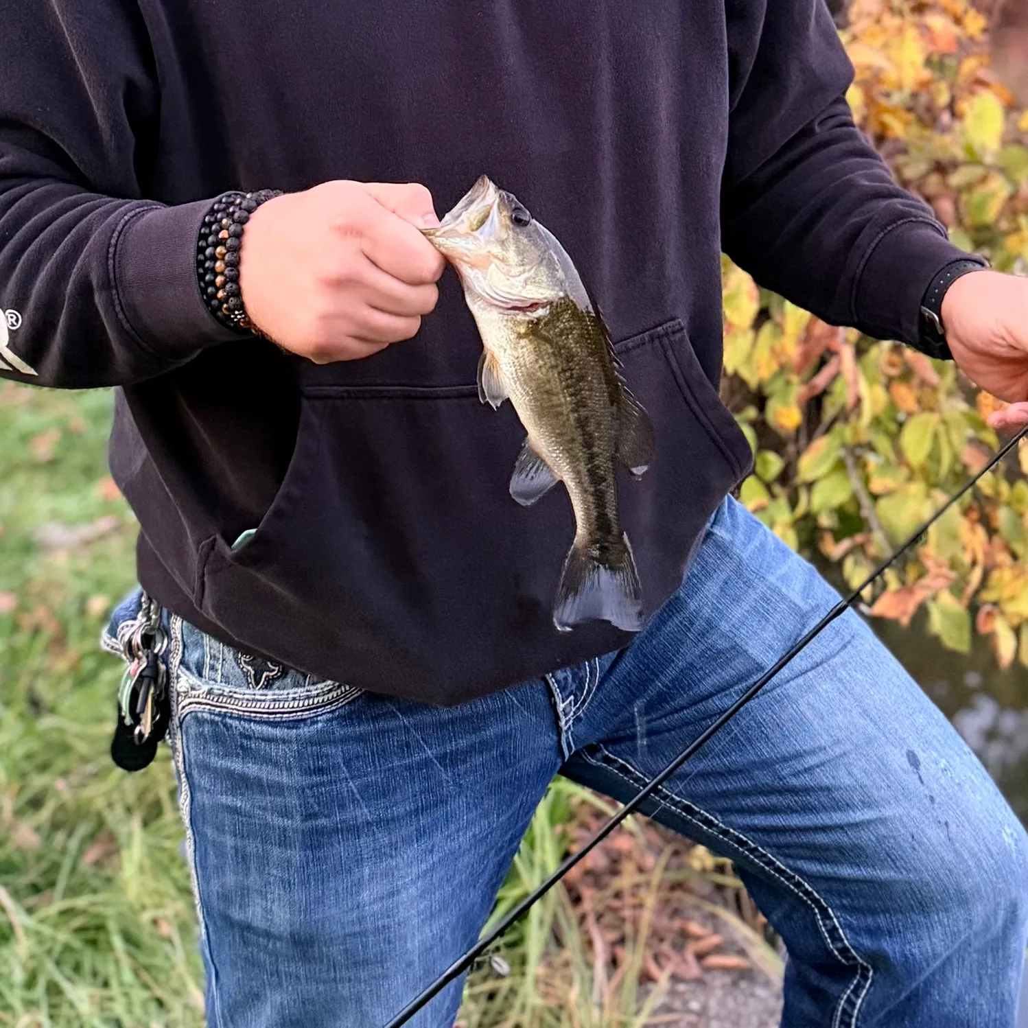 Largemouth bass caught on Fishbrain