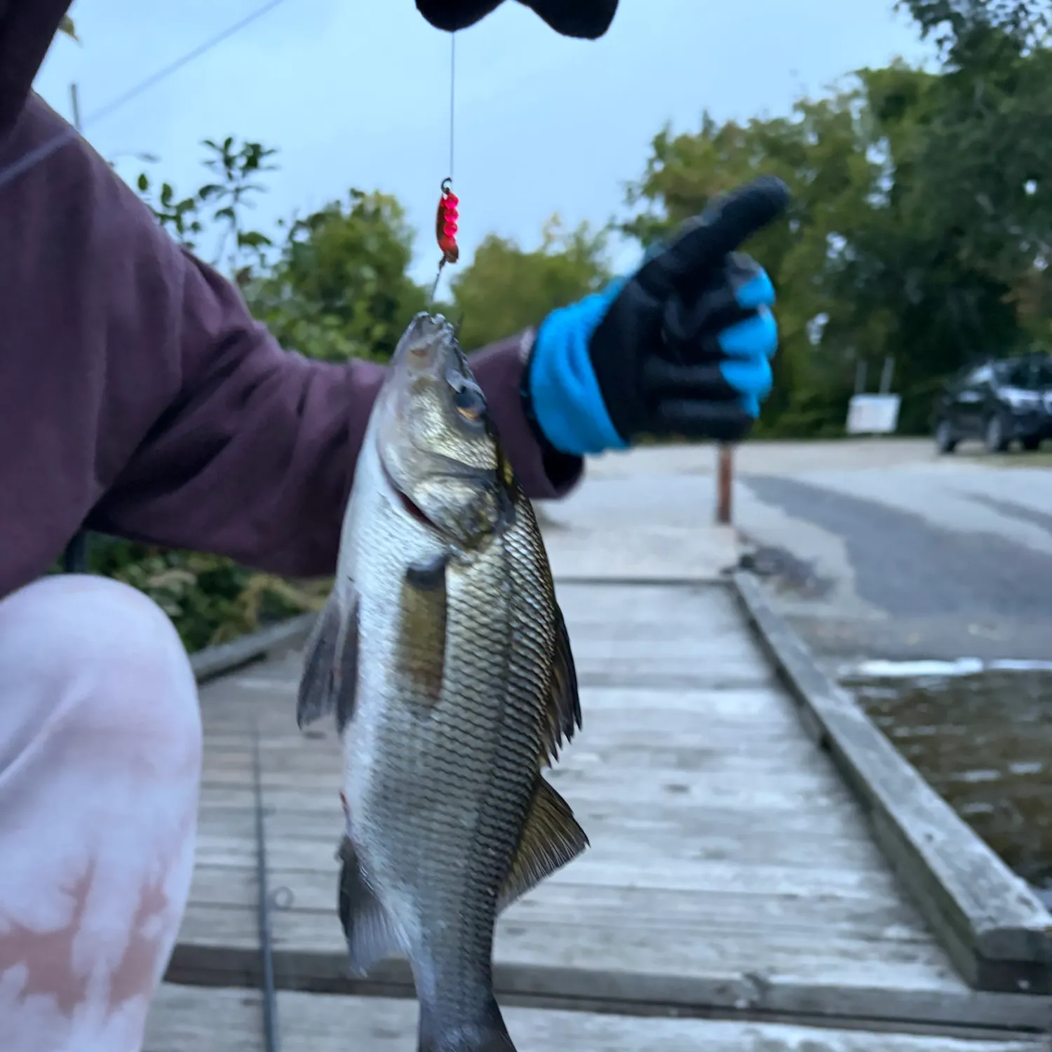 catch