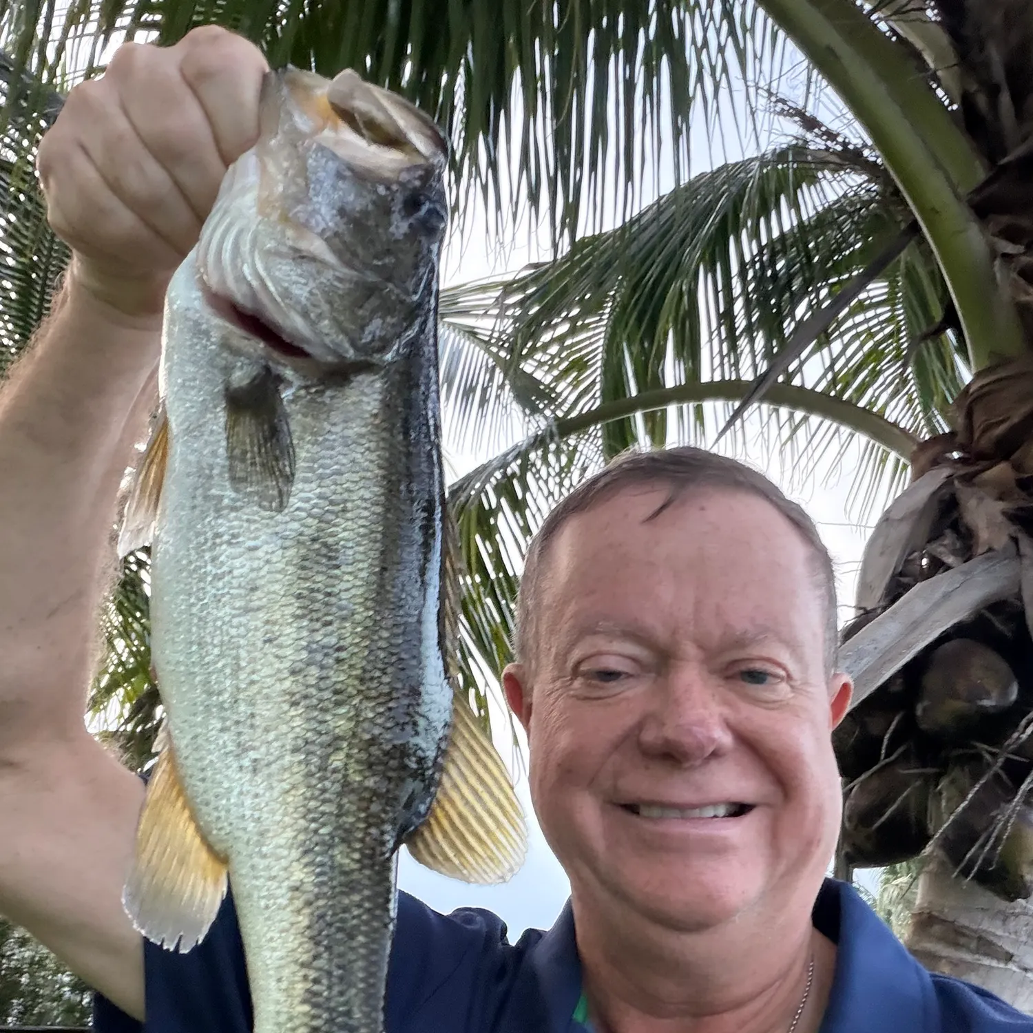 Florida bass caught on Fishbrain
