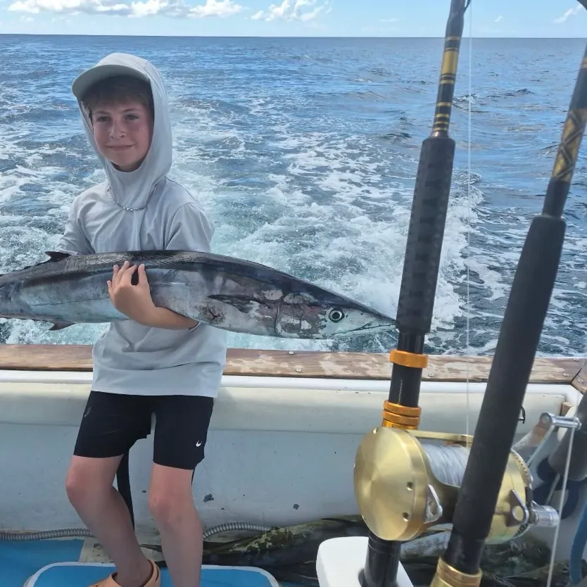The most recent Wahoo catches on Fishbrain