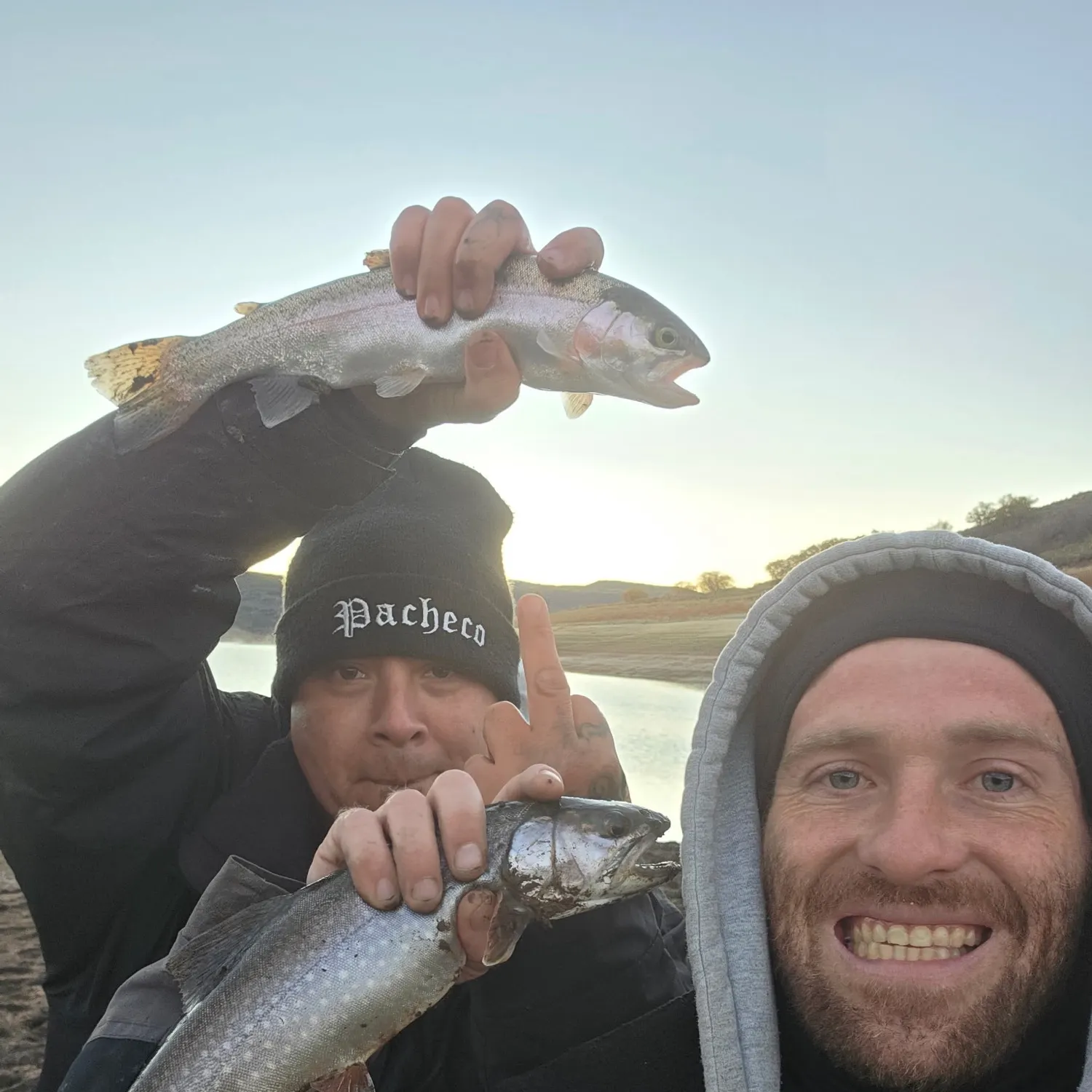 Rainbow trout caught on Fishbrain