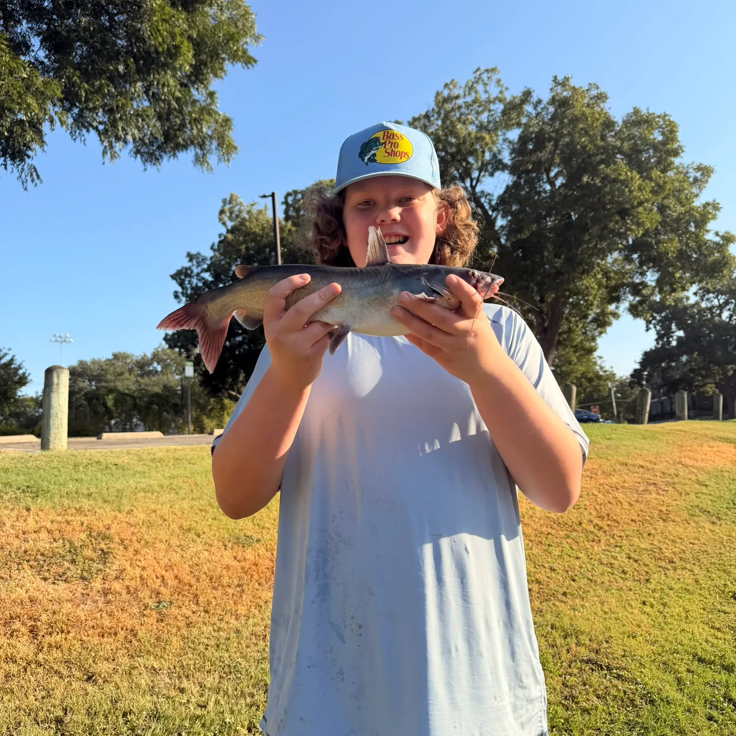 Channel catfish caught on Fishbrain