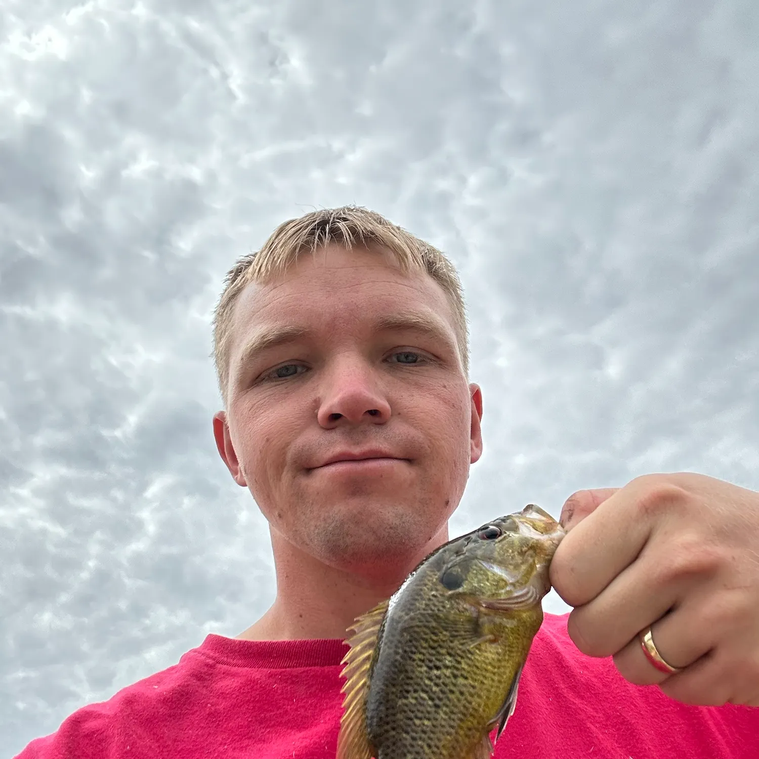 Rock bass caught on Fishbrain