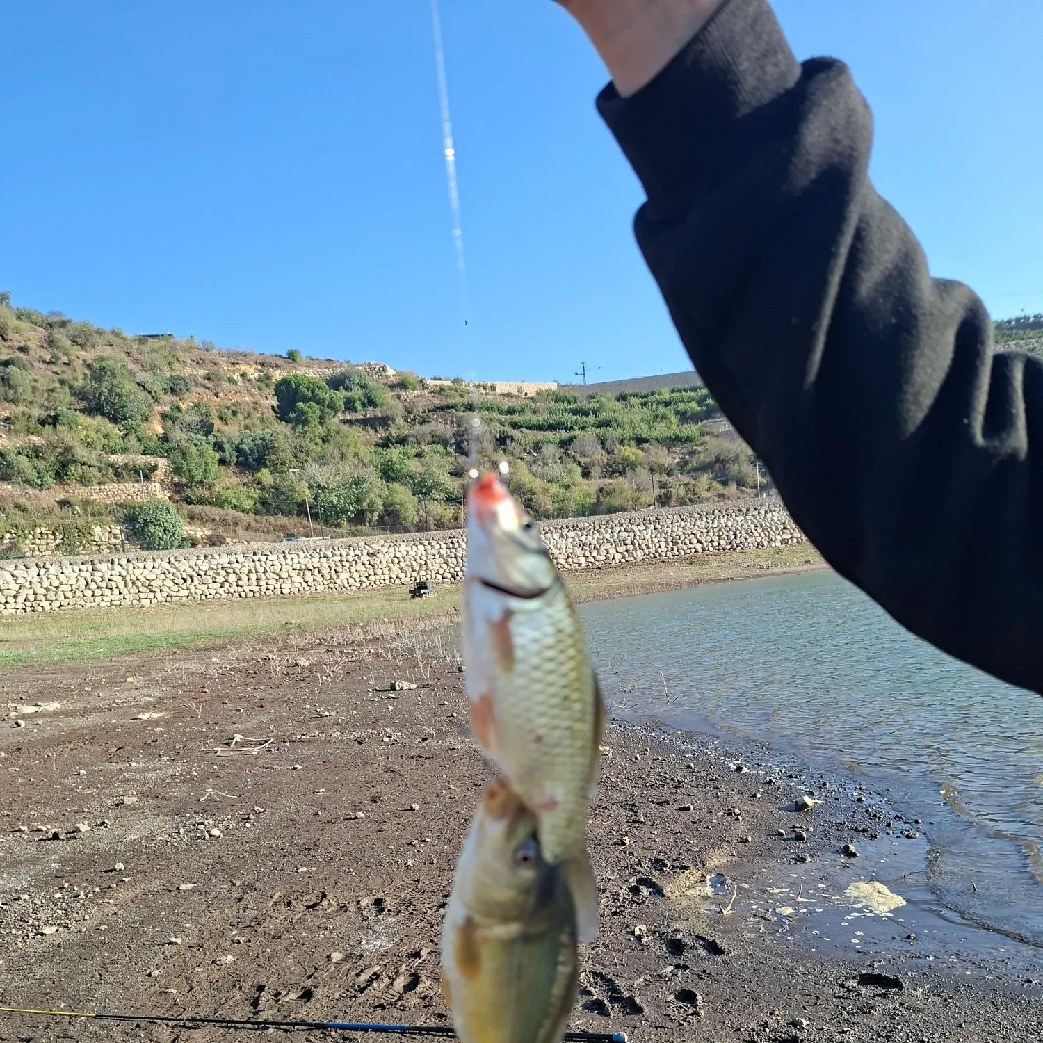 Fish caught on Fishbrain