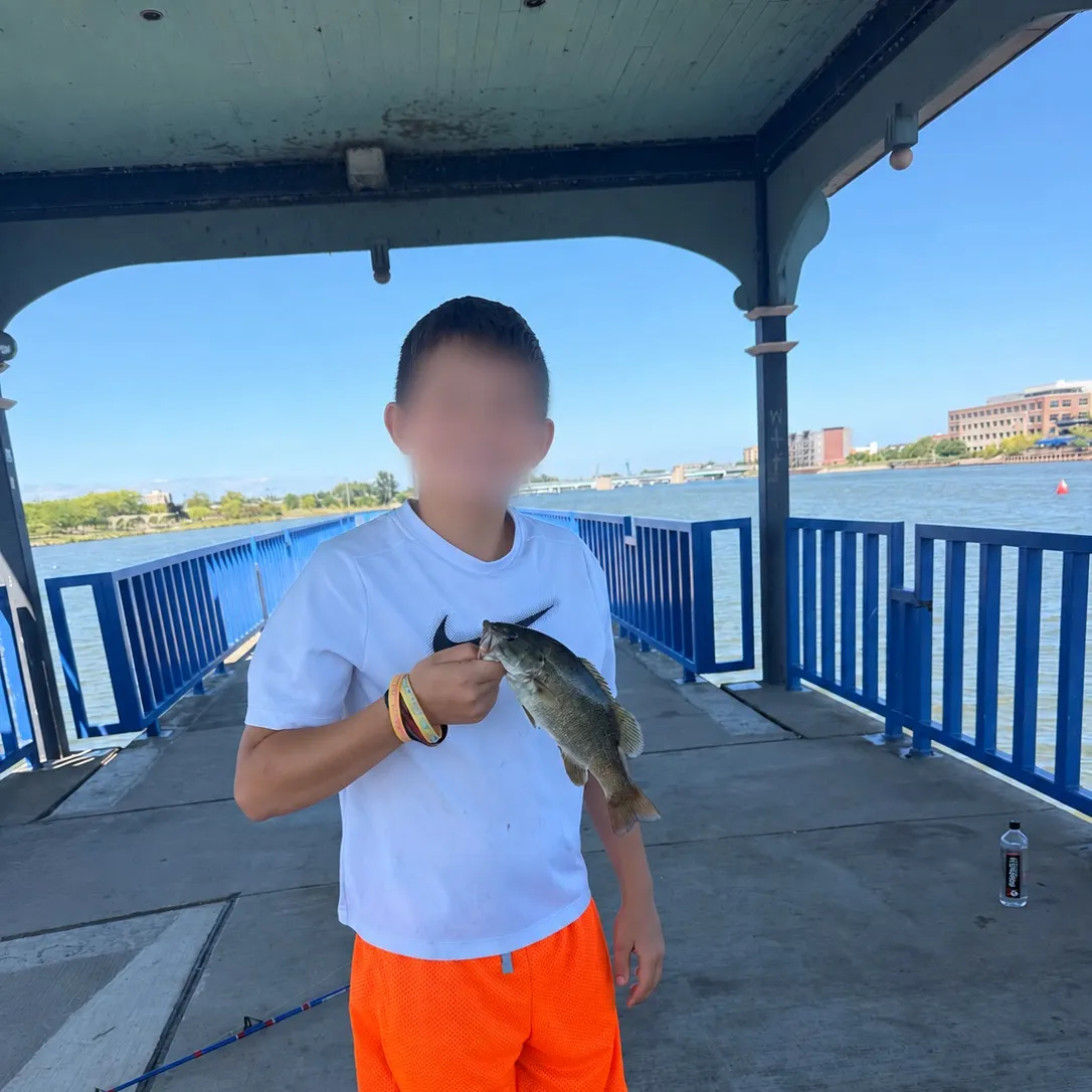 Smallmouth bass caught on Fishbrain