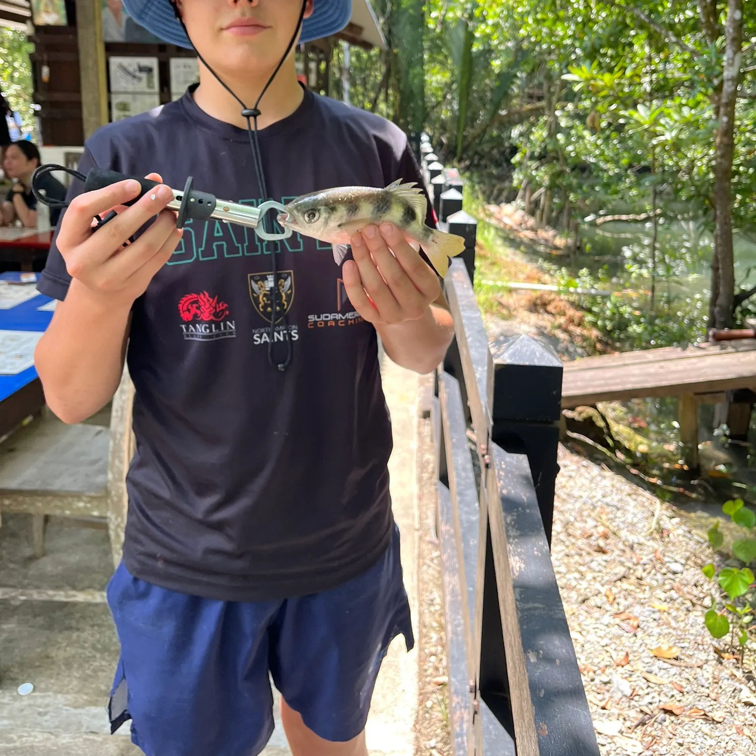 The most recent Banded archerfish catches on Fishbrain